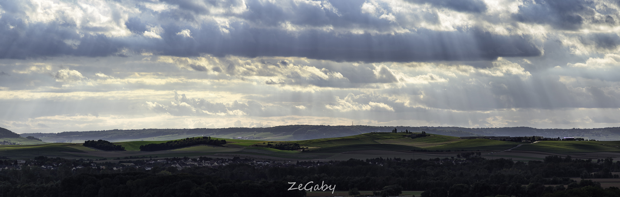 Tamron AF 70-300mm F4-5.6 Di LD Macro sample photo. Enlightened vineyard photography