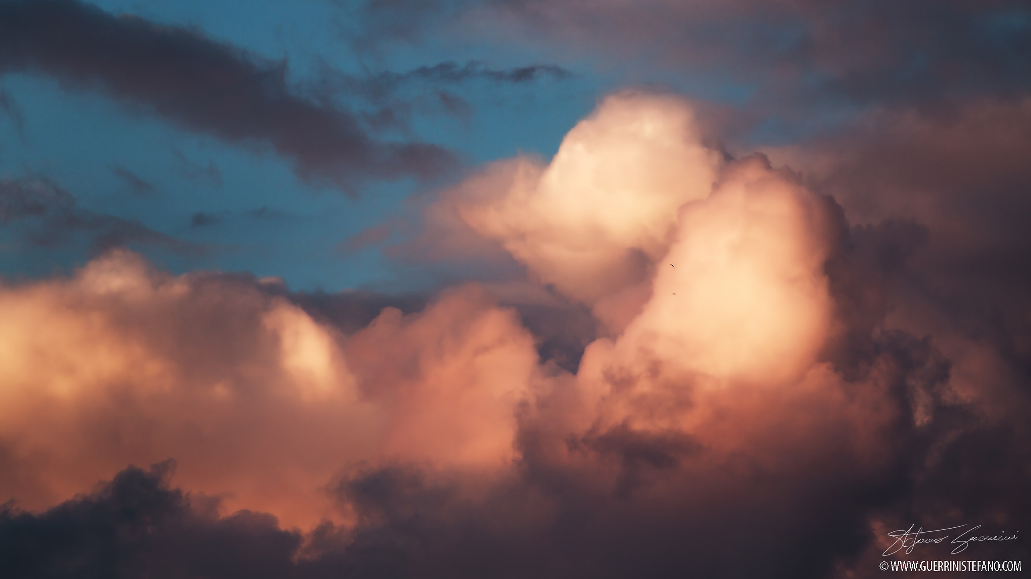 Canon EOS 6D + Canon EF 300mm F4L IS USM sample photo. Rondini al tramonto by guerrini stefano photography