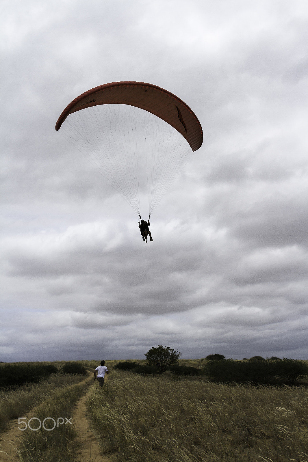 Canon EOS 7D + Canon EF 24mm F1.4L II USM sample photo. Ride with the wind photography