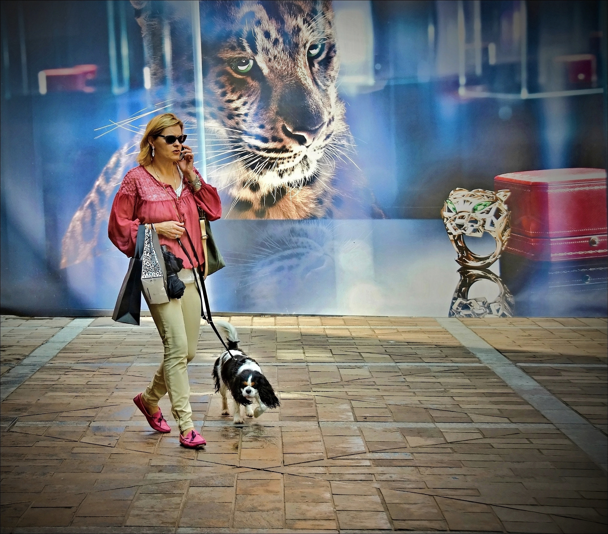 Nikon D90 sample photo. The pink and a panther 2 photography