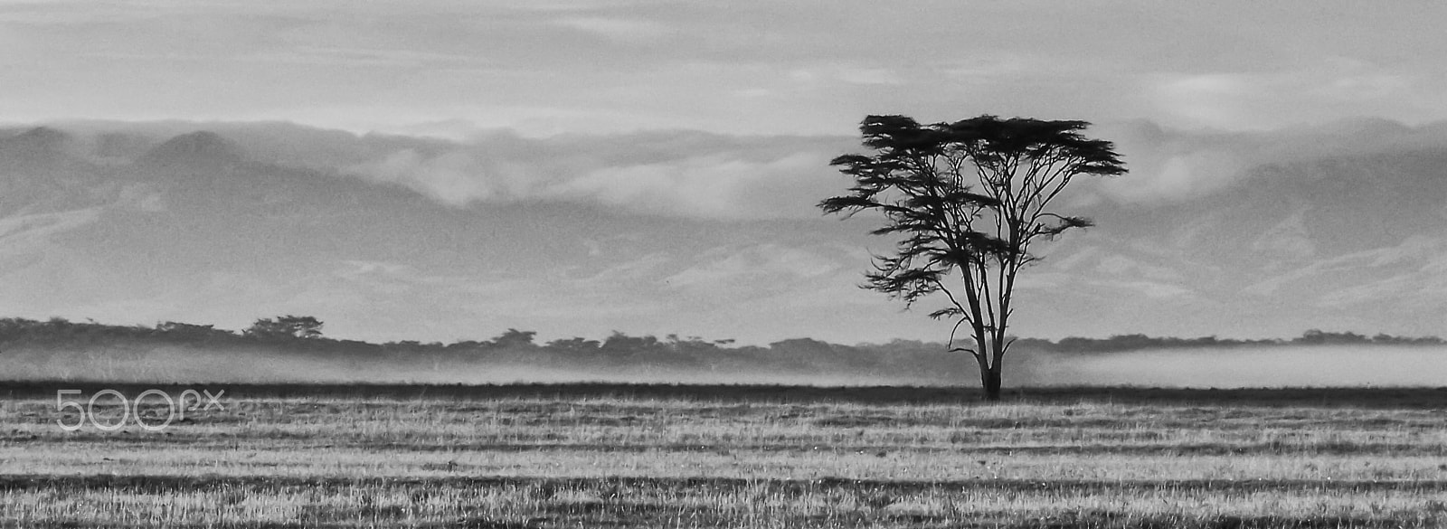 Kodak Z612 ZOOM DIGITAL CAMERA sample photo. Lone tree photography