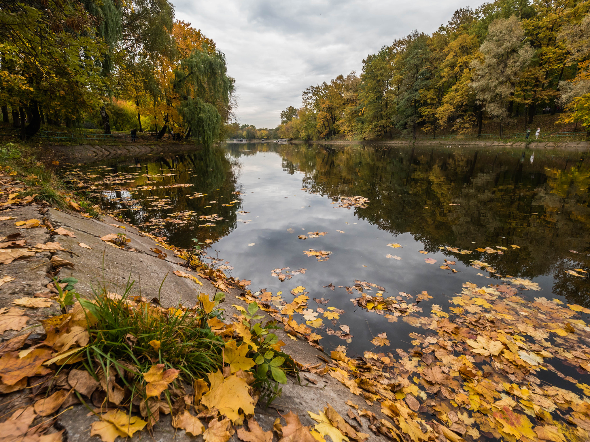 Panasonic Lumix DMC-GH4 + Olympus M.Zuiko Digital ED 7-14mm F2.8 PRO sample photo. Leaf fall photography