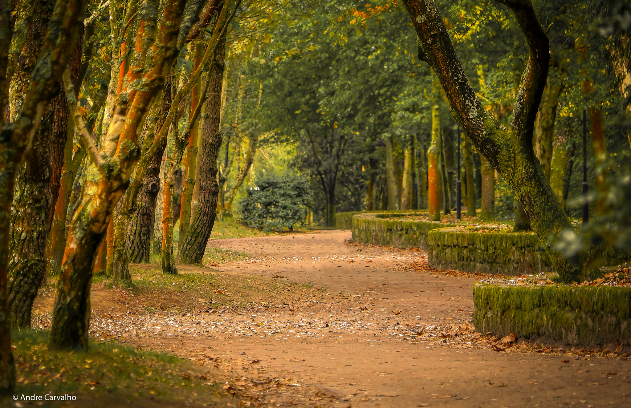 24-240mm F3.5-6.3 OSS sample photo. Autumn is coming... photography