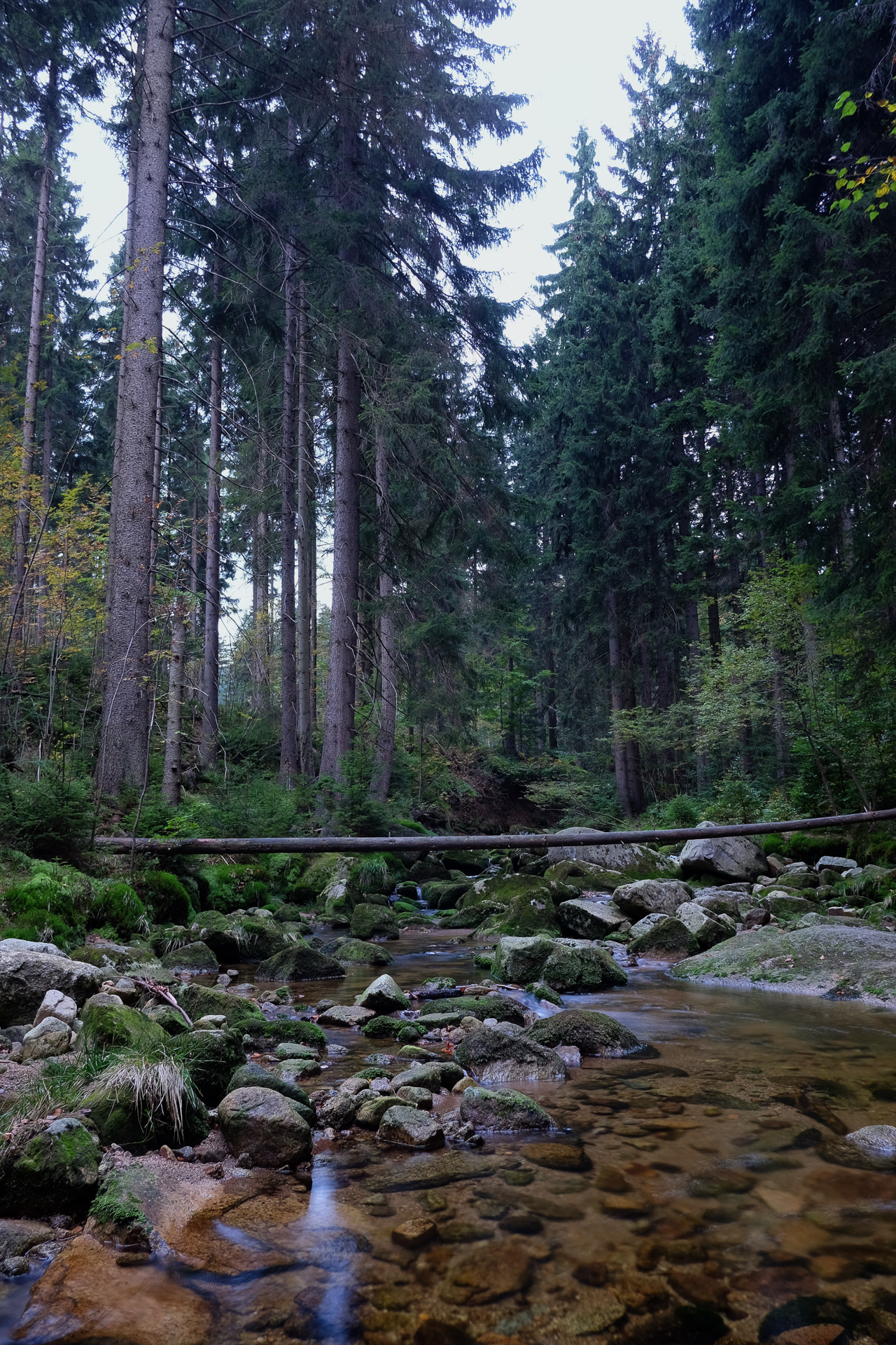 Fujifilm X-E2 + Fujifilm XF 18mm F2 R sample photo. Hidden stream photography