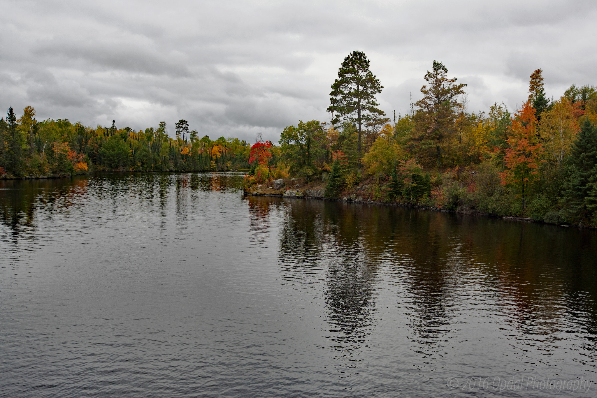 Canon EF 16-35mm F2.8L II USM sample photo. Autumn on garden lake photography