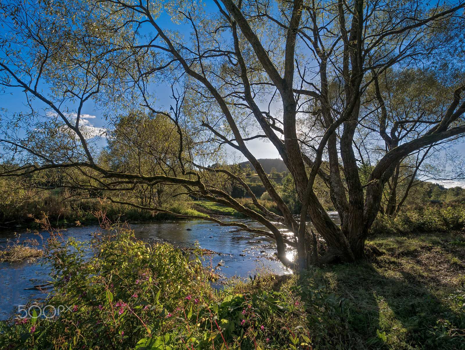 Panasonic DMC-G70 + OLYMPUS M.9-18mm F4.0-5.6 sample photo. Eder bei meckhausen photography