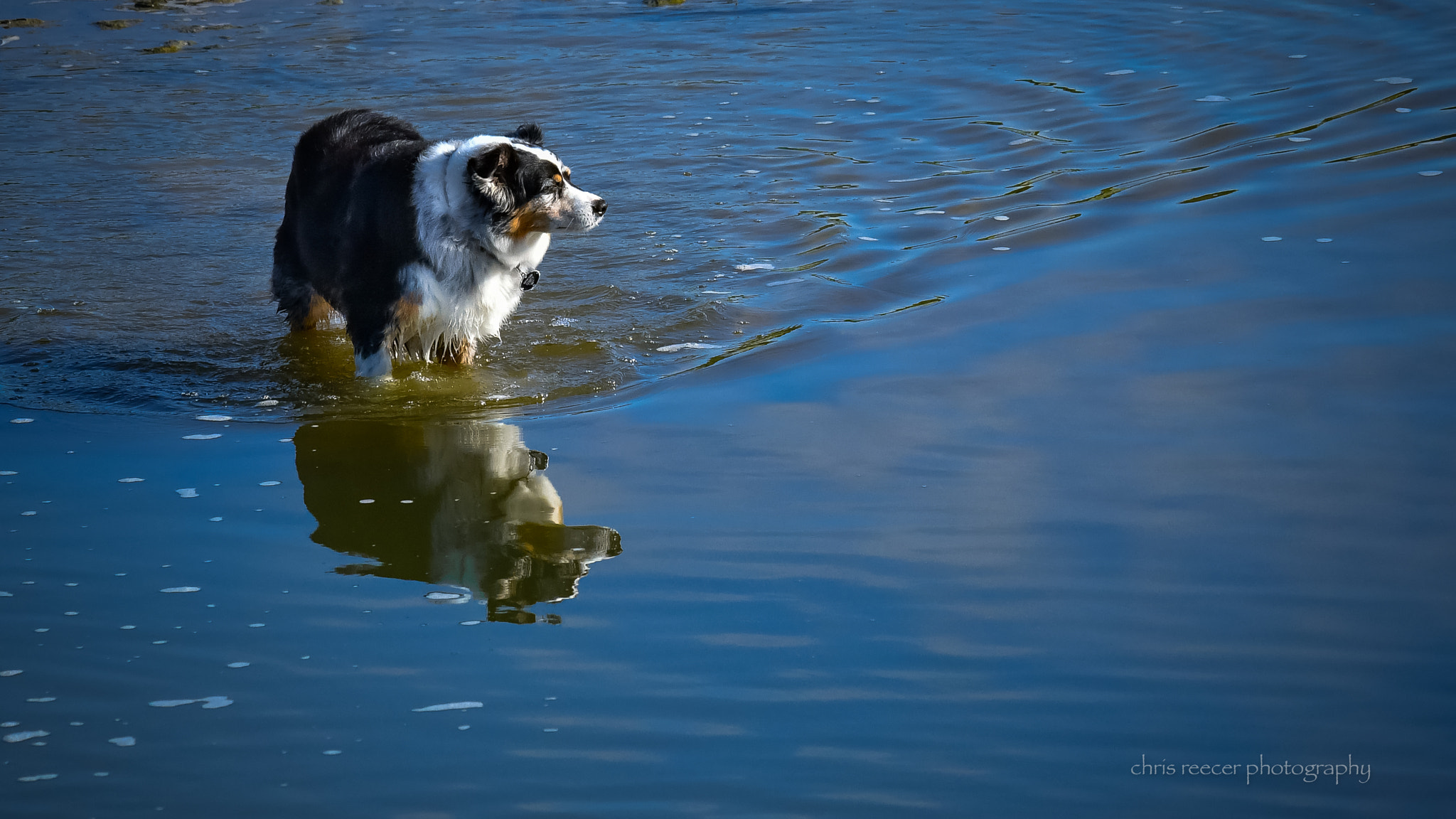 Nikon D500 sample photo. Sydney photography
