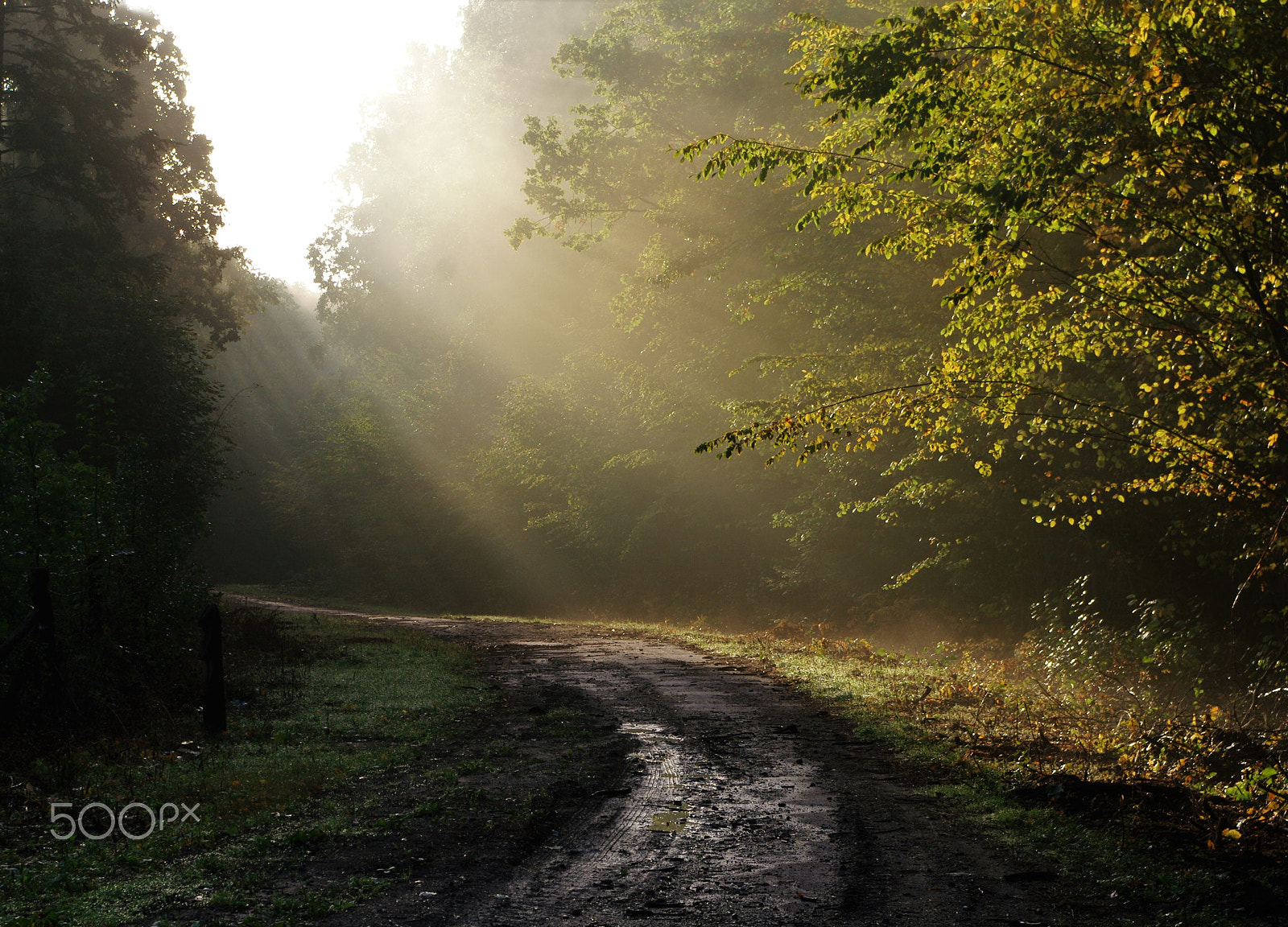 Samsung GX-20 sample photo. Sunrise light... photography
