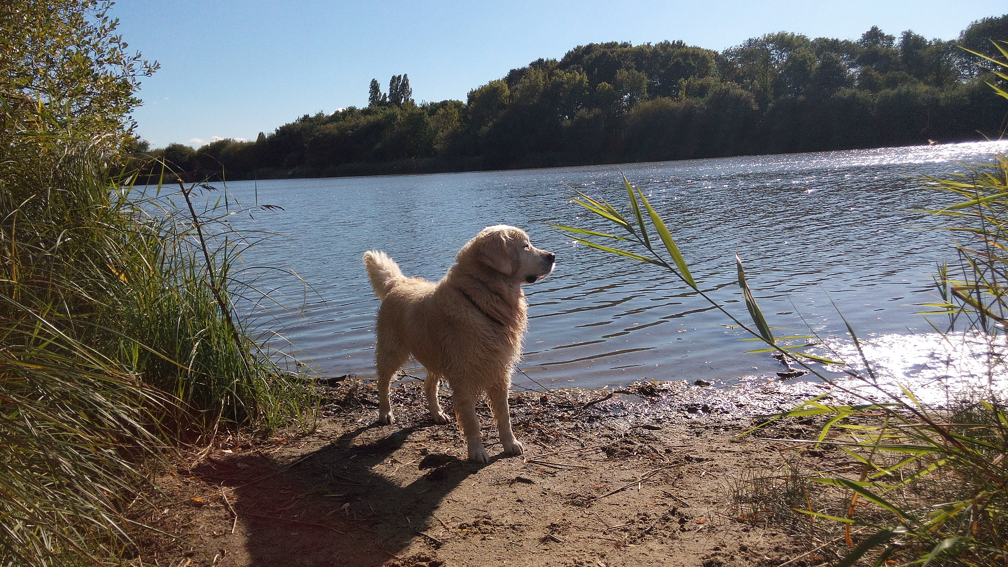 WIKO GETAWAY sample photo. My boy photography