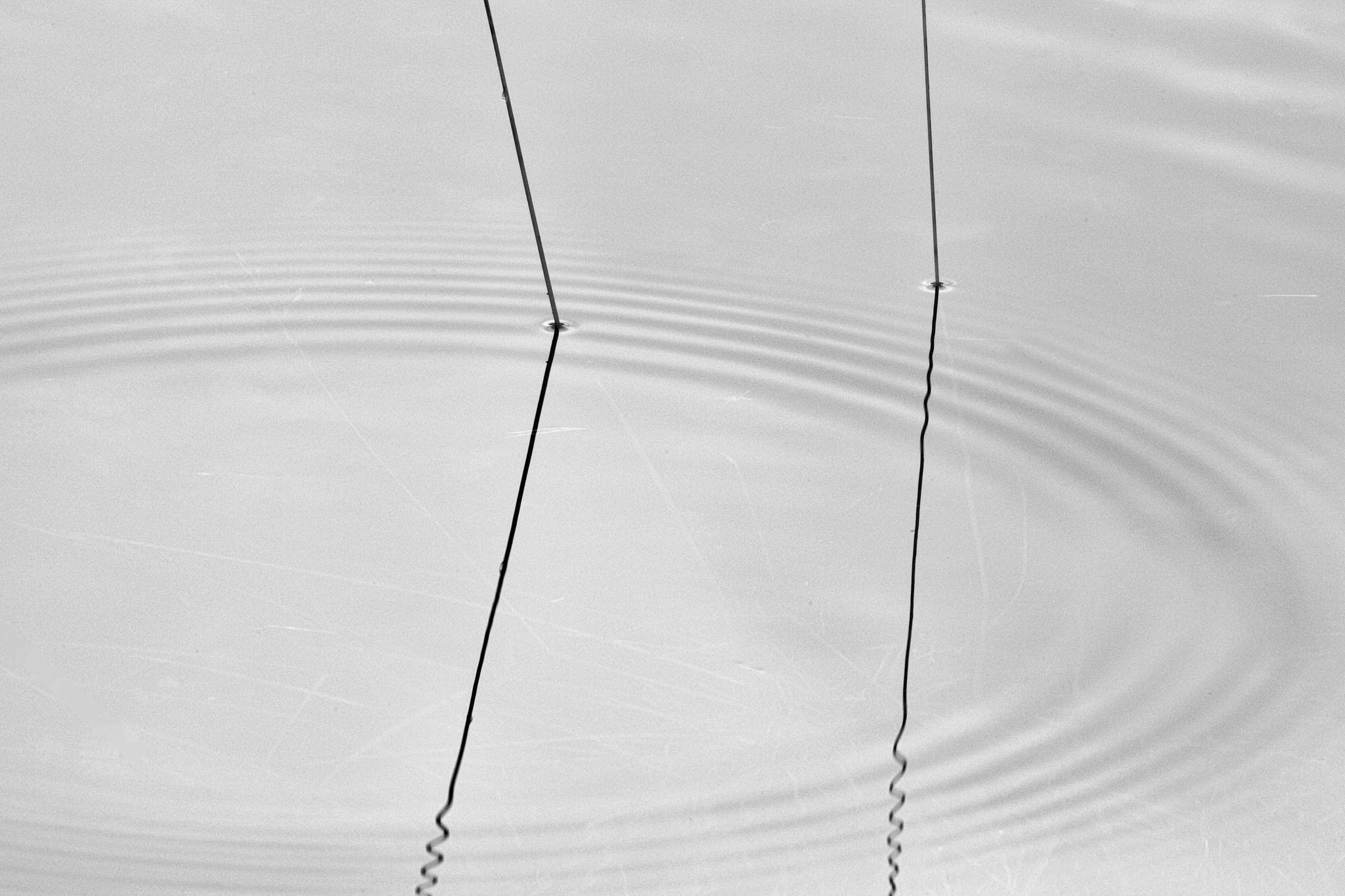 Canon EOS 5D Mark II sample photo. Grass stems and ripples photography