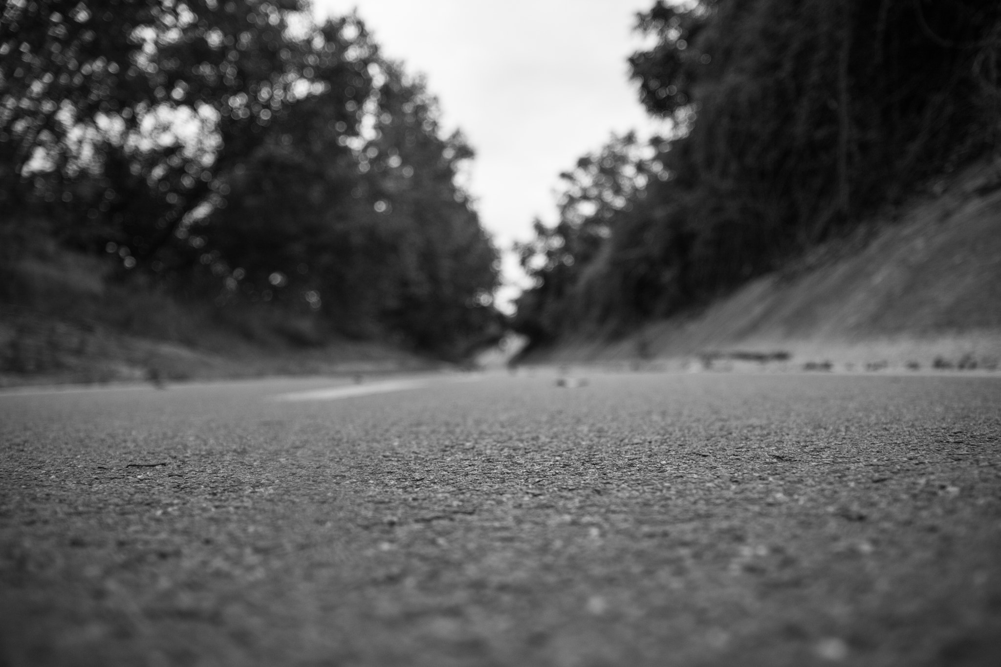Sigma 17-70mm F2.8-4 DC Macro OS HSM sample photo. Img photography