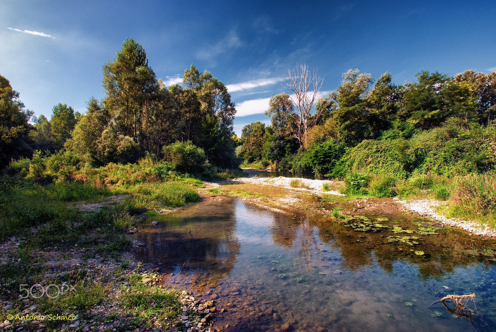 Nikon D80 sample photo. Peace in nature photography