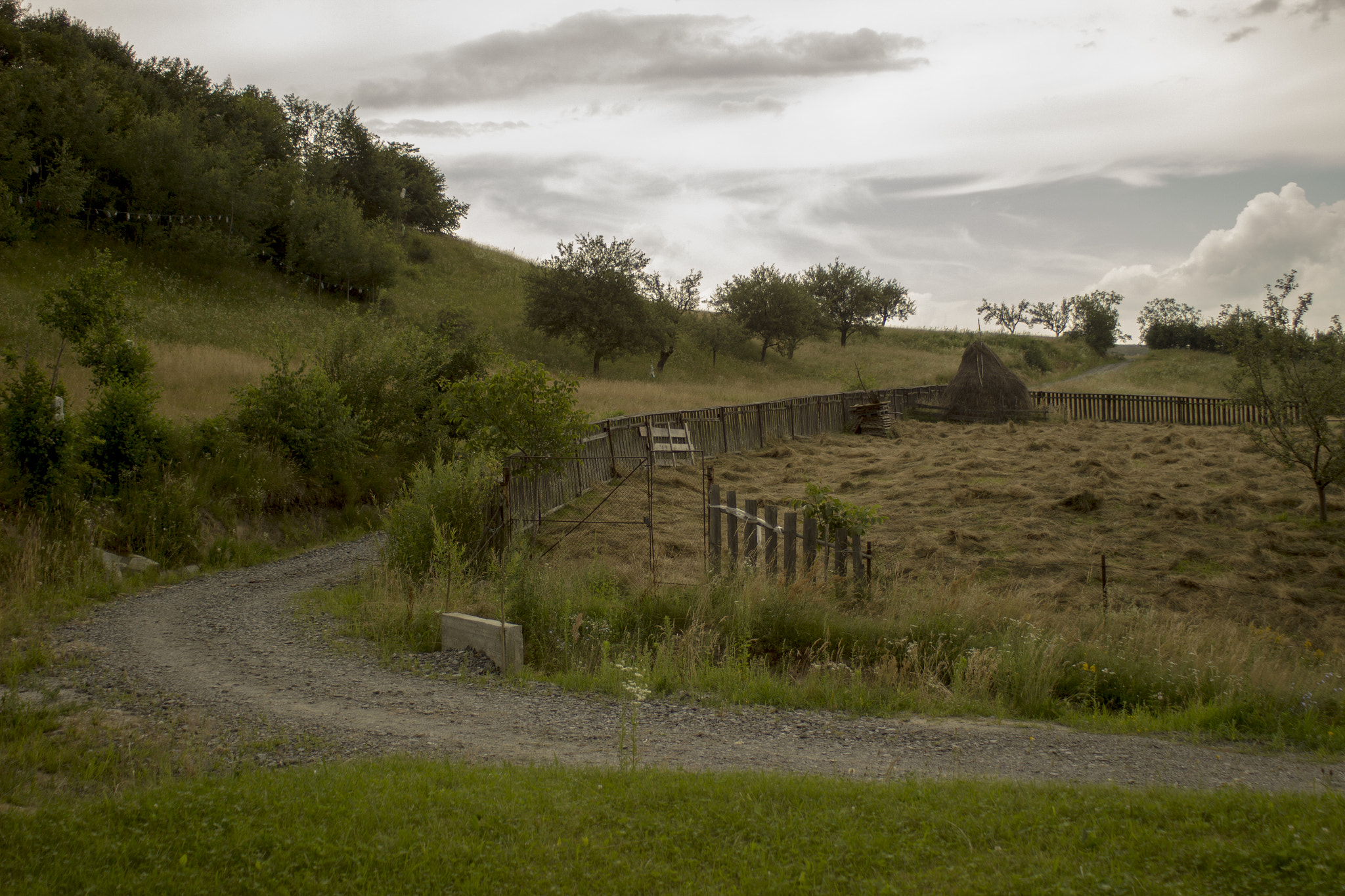 Canon EF 28-80mm f/3.5-5.6 sample photo. Calm photography