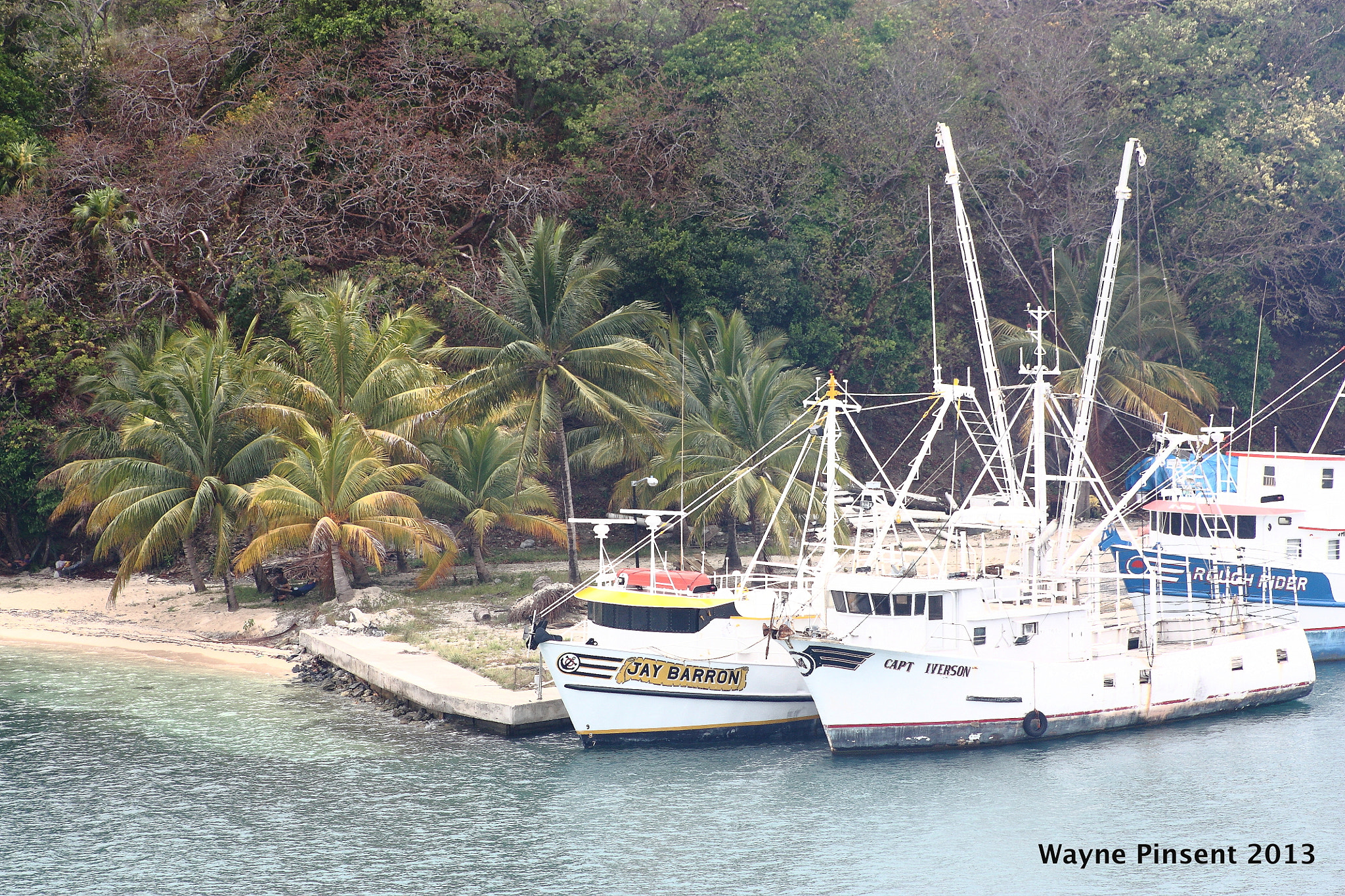 Canon EF 75-300mm f/4-5.6 USM sample photo. Roatan, honduras photography