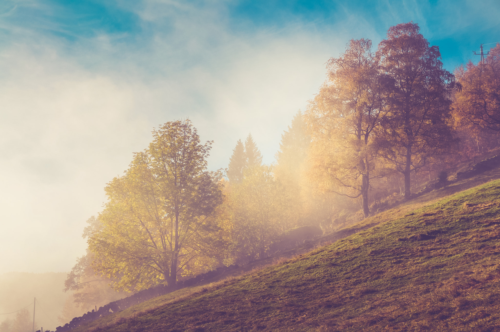 Nikon D5000 + Sigma 18-200mm F3.5-6.3 DC OS HSM sample photo. Early autumn in norway photography