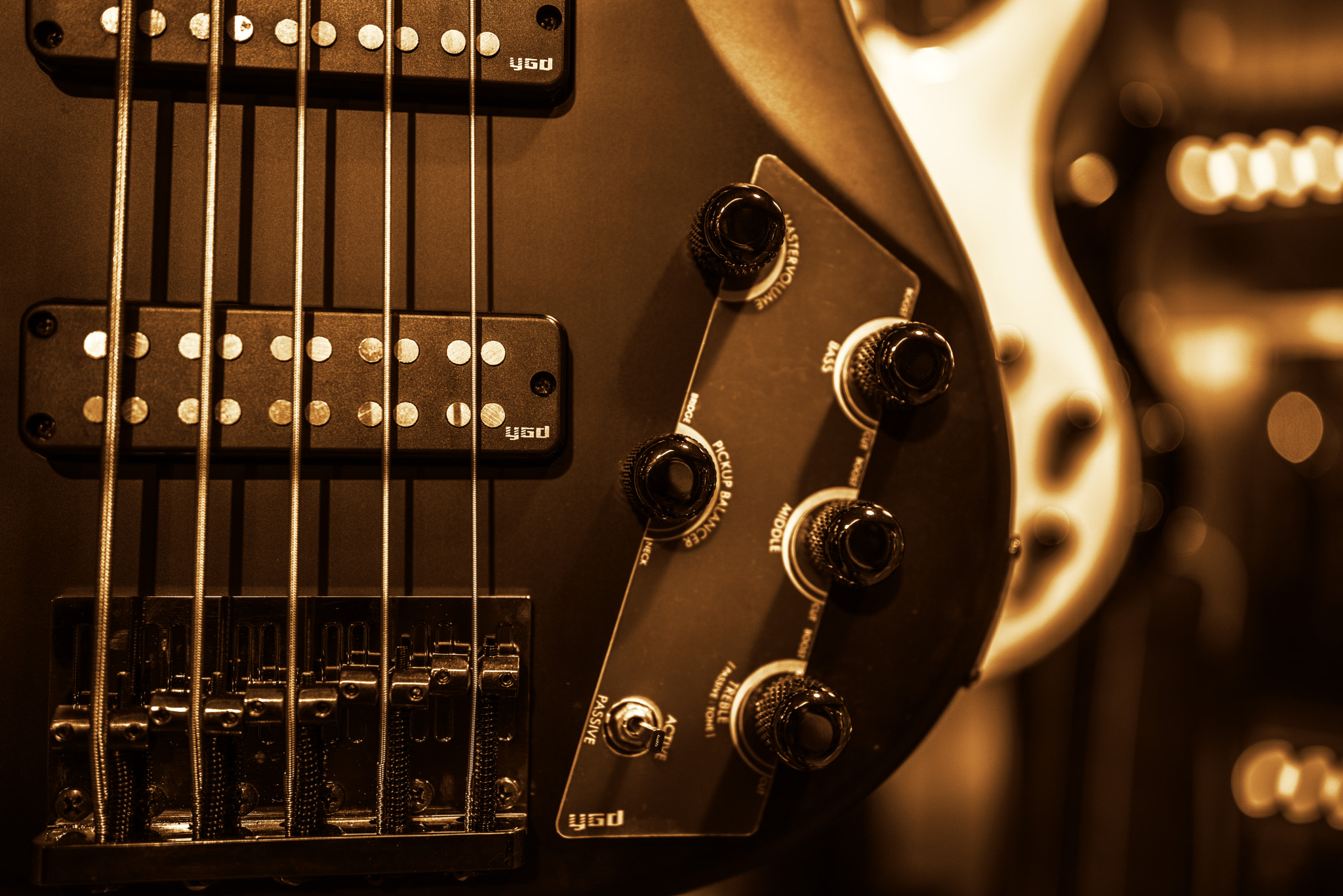 Nikon D810 sample photo. Bass photography