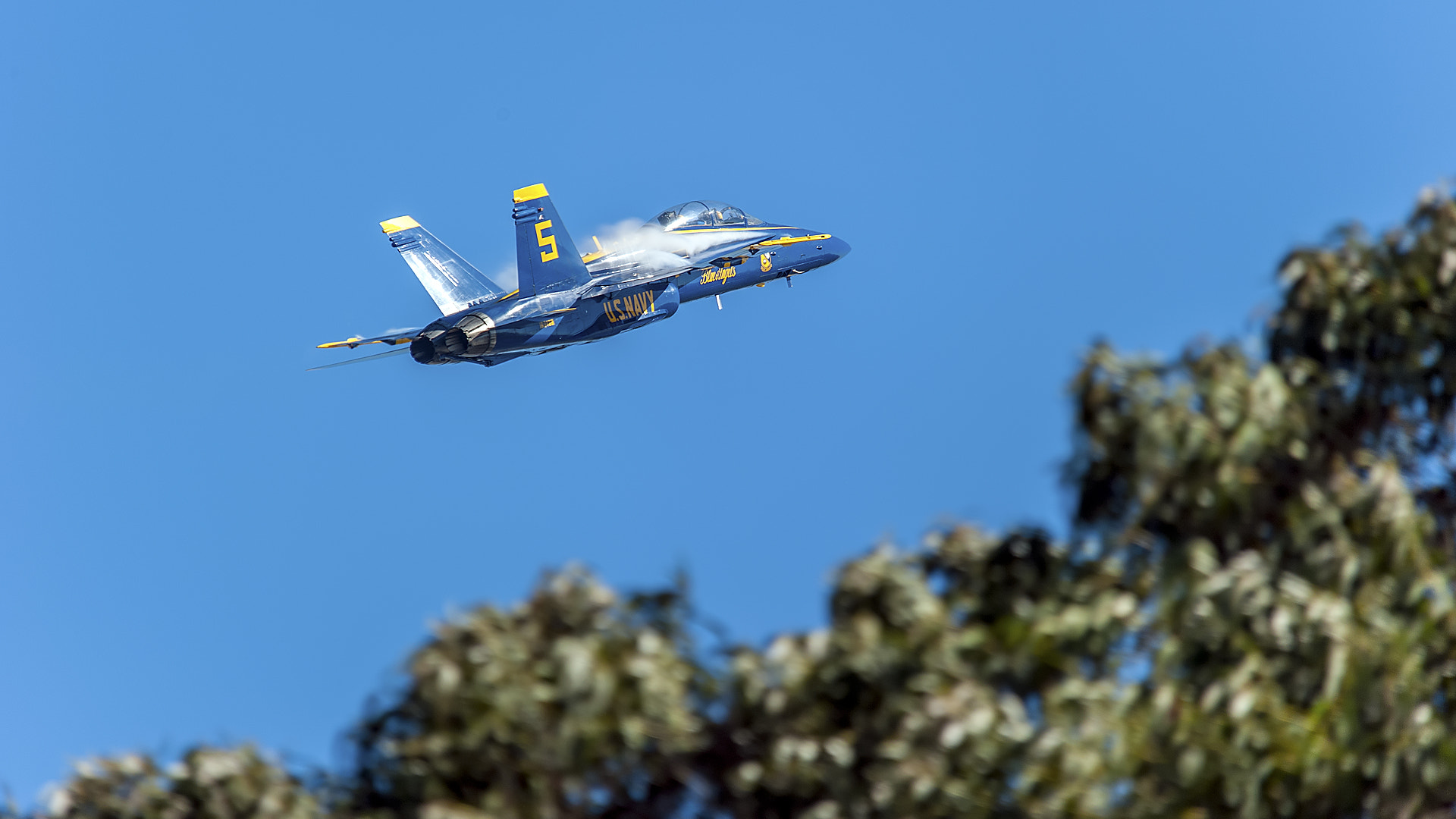 Sigma 150-500mm F5-6.3 DG OS HSM sample photo. Blue bird photography