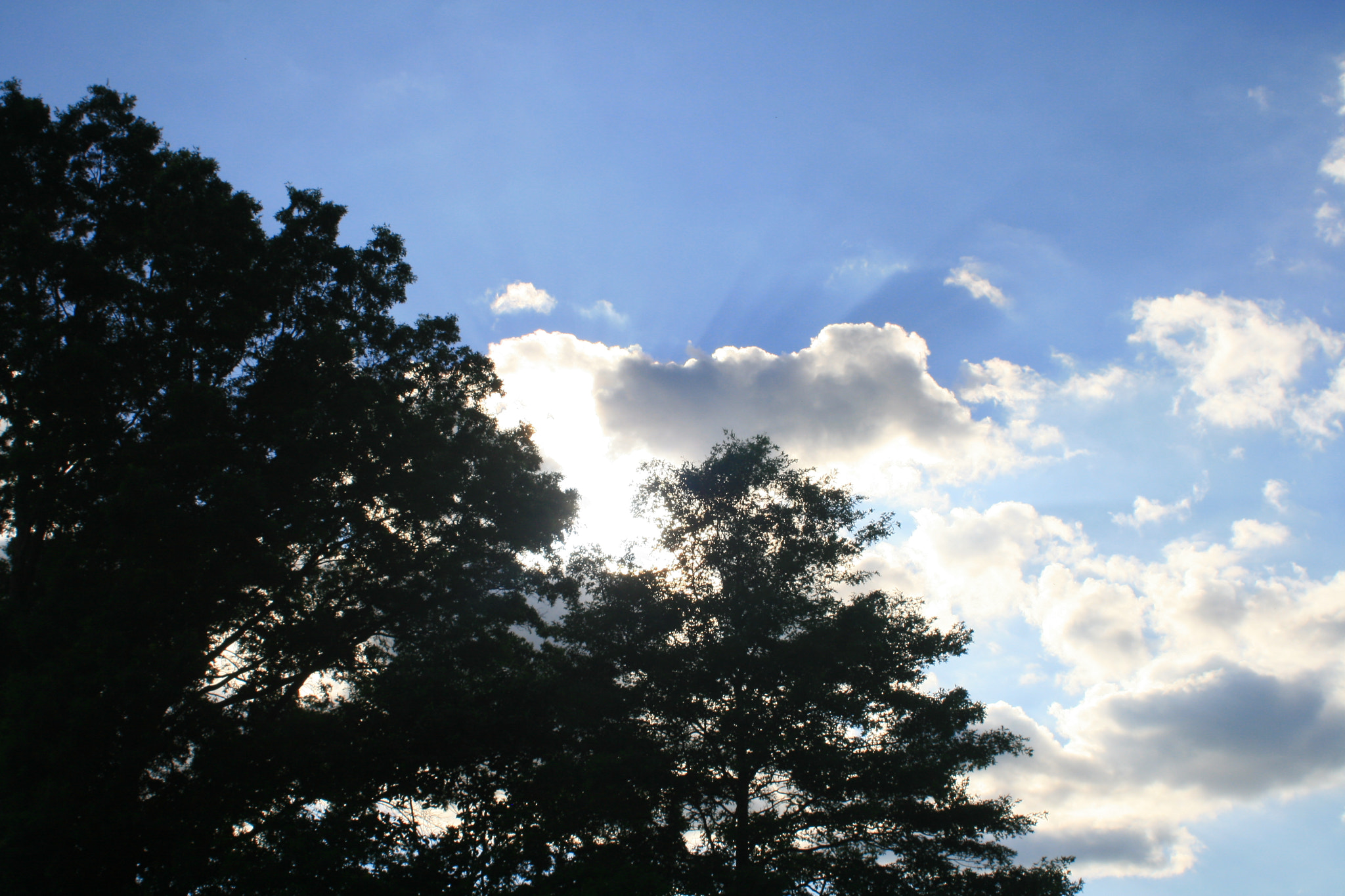 Canon EF 28-80mm f/3.5-5.6 USM sample photo. Creation 2016 photography
