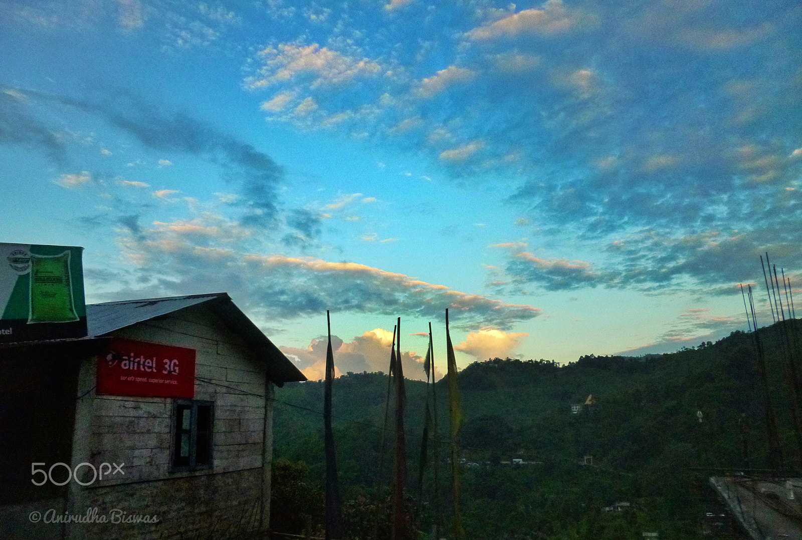 Panasonic DMC-SZ1 sample photo. Queen of hills photography