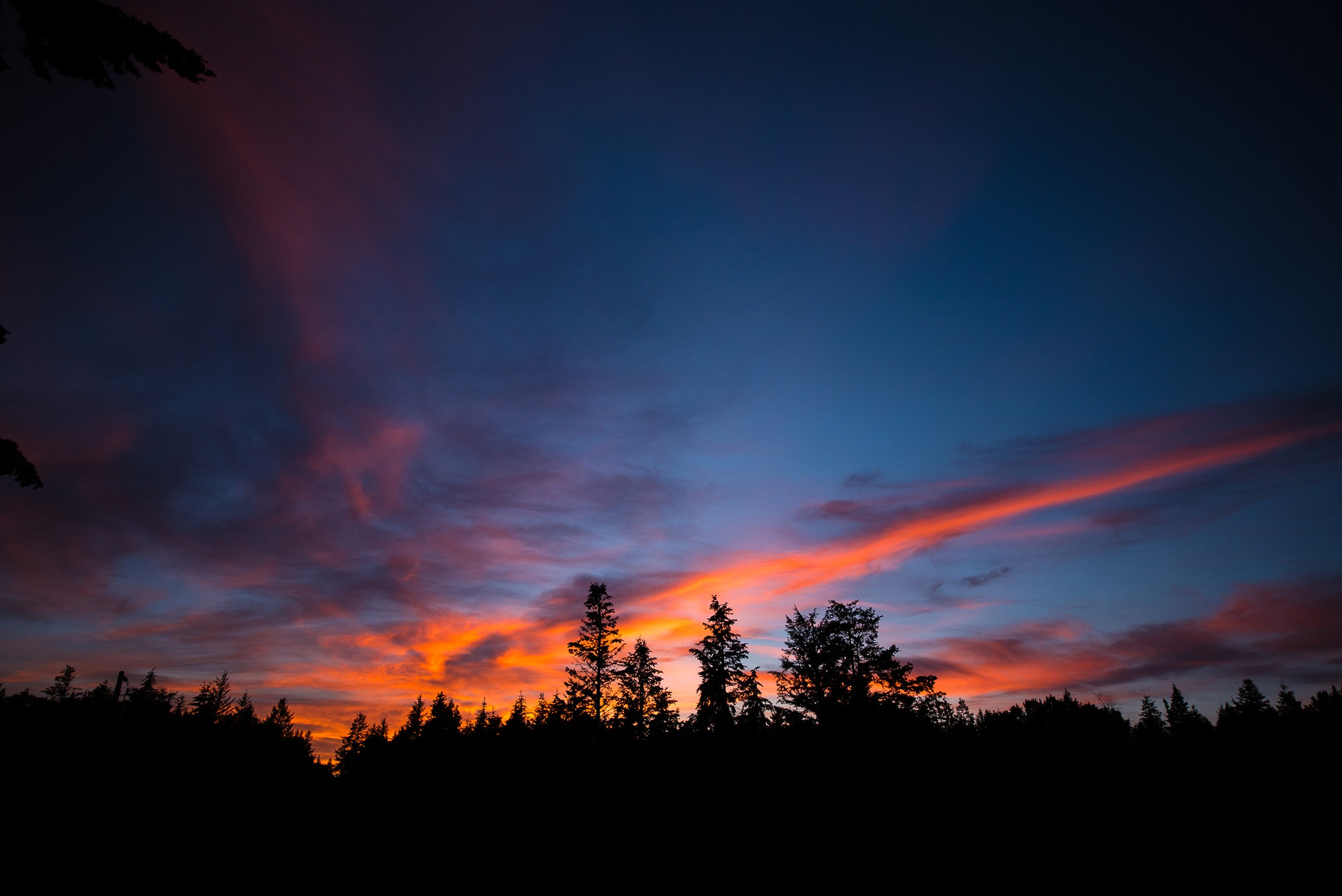 Nikon D750 sample photo. Sunset of dreams. photography