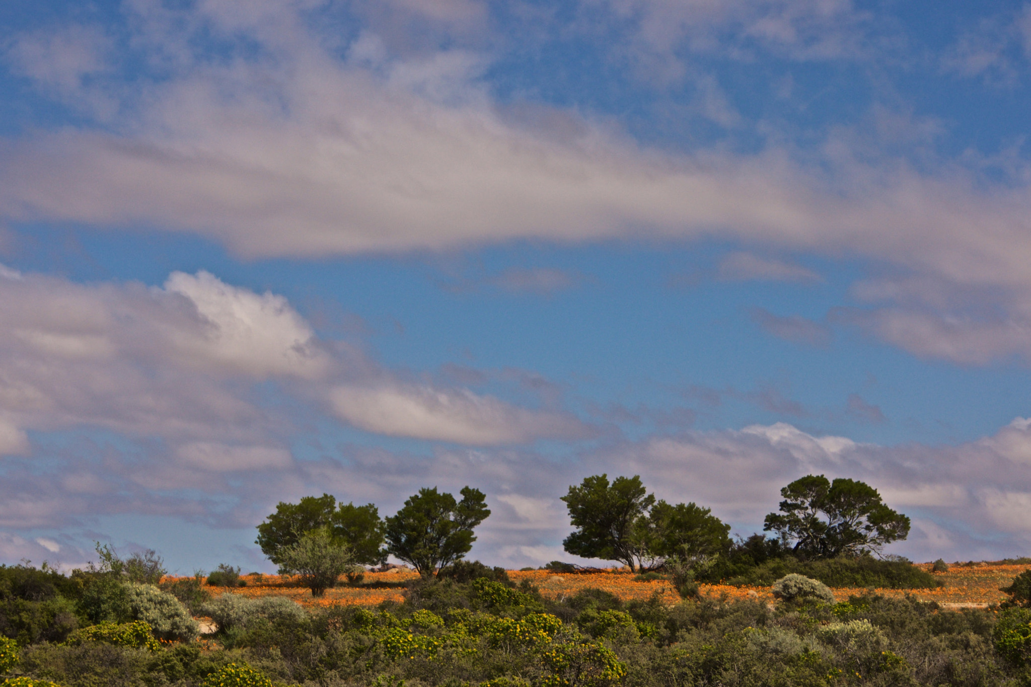 Sony Alpha DSLR-A700 sample photo. Brightening up photography