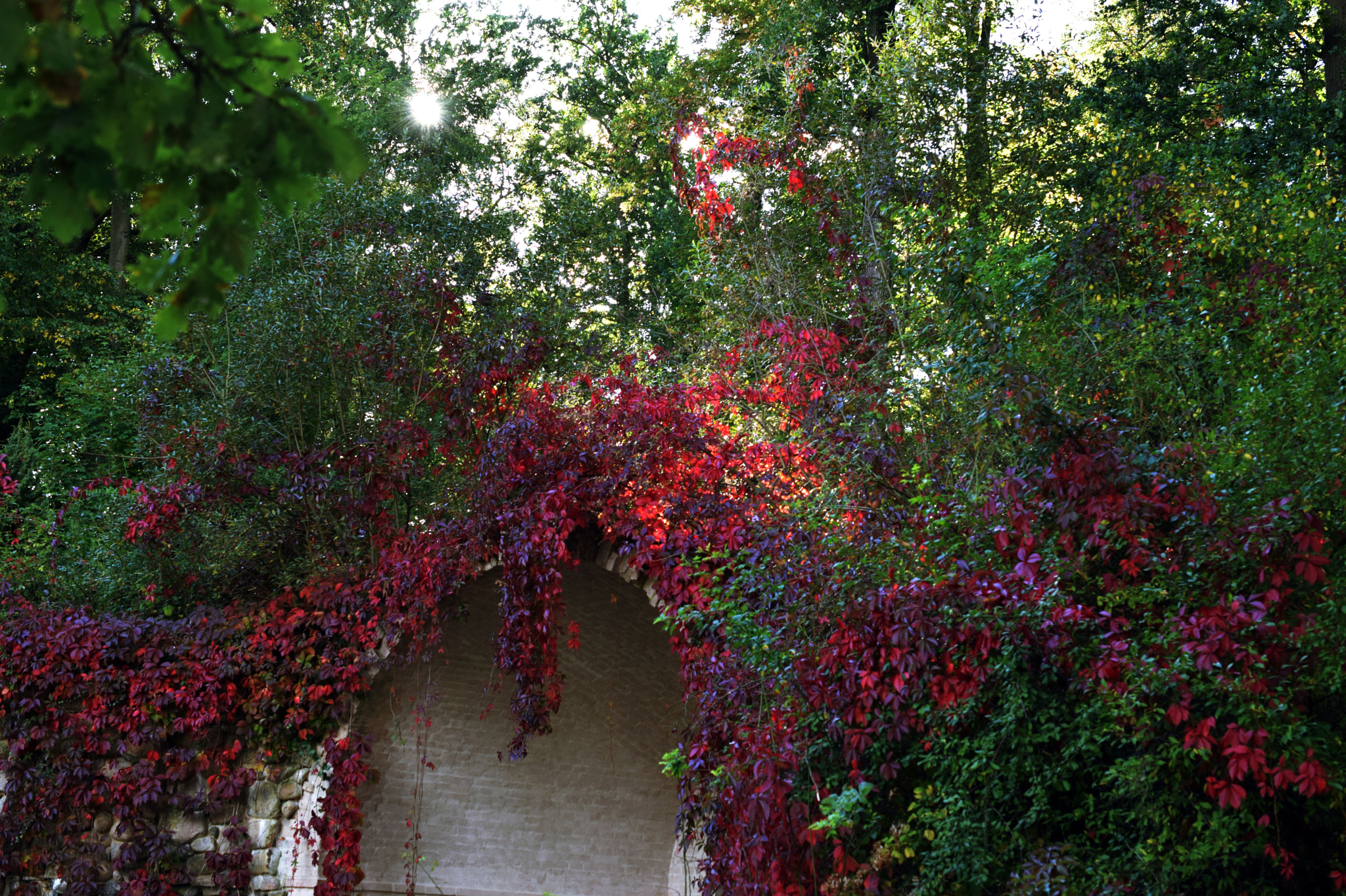 Nikon D5300 sample photo. Light in the autumn photography