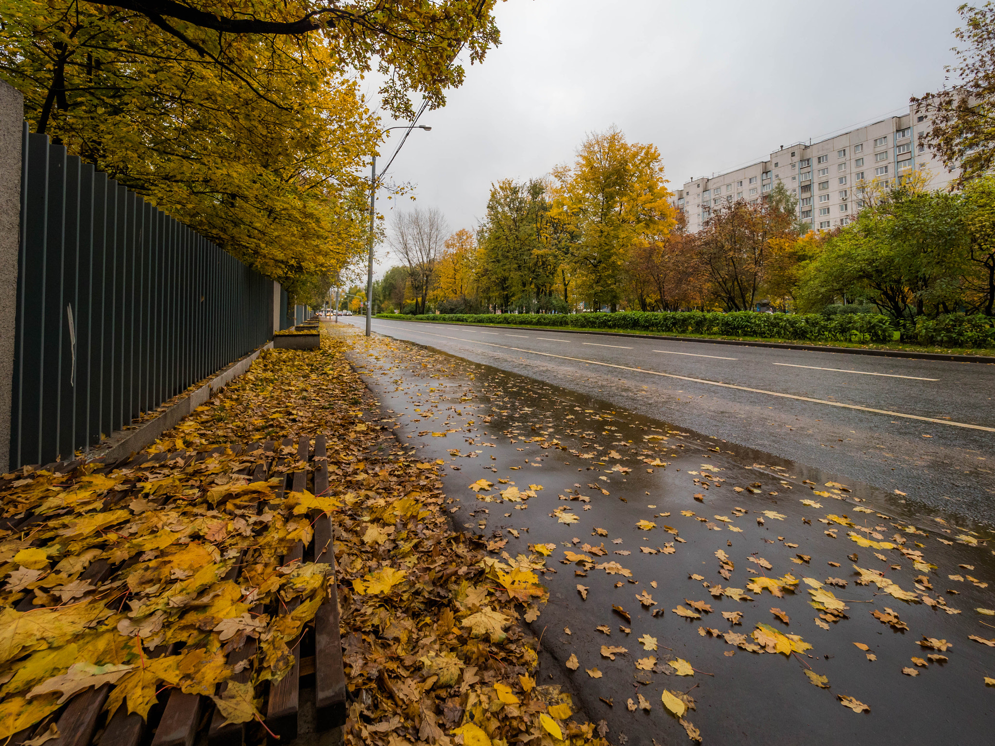 Panasonic Lumix DMC-GH4 + Olympus M.Zuiko Digital ED 7-14mm F2.8 PRO sample photo. Yellow street:) photography