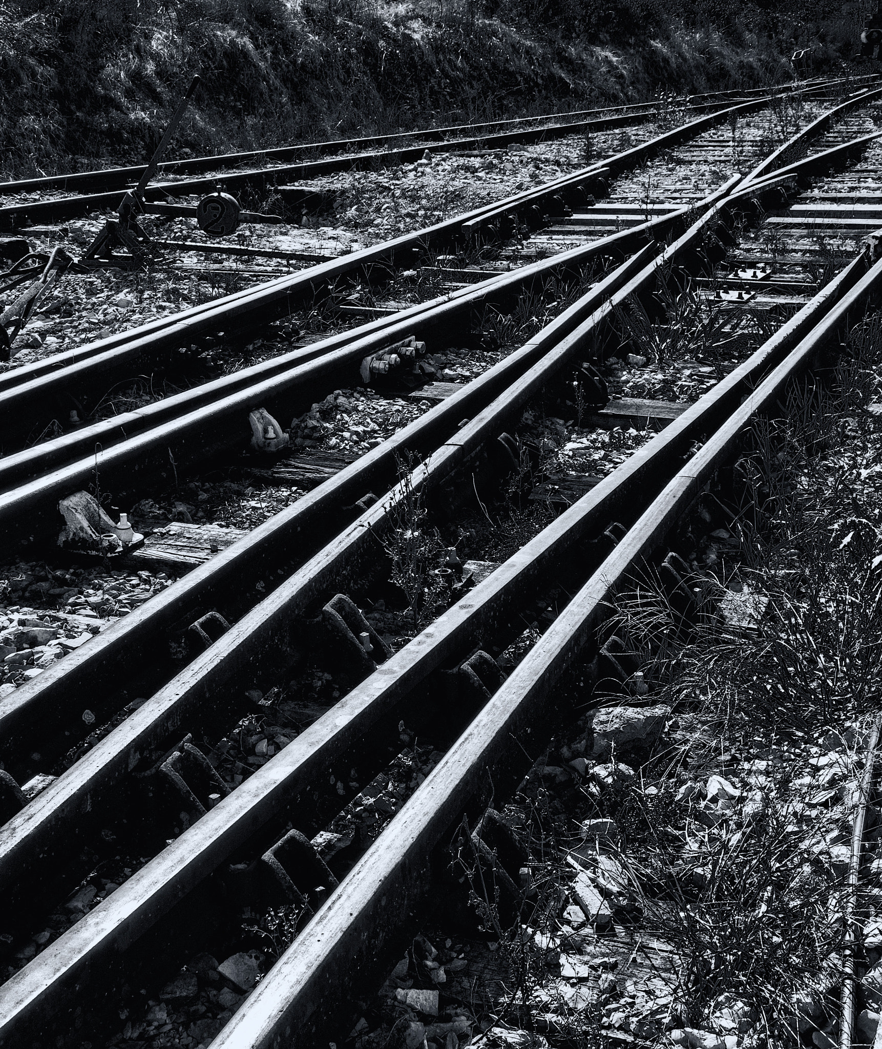 Olympus OM-D E-M5 sample photo. Across the tracks photography