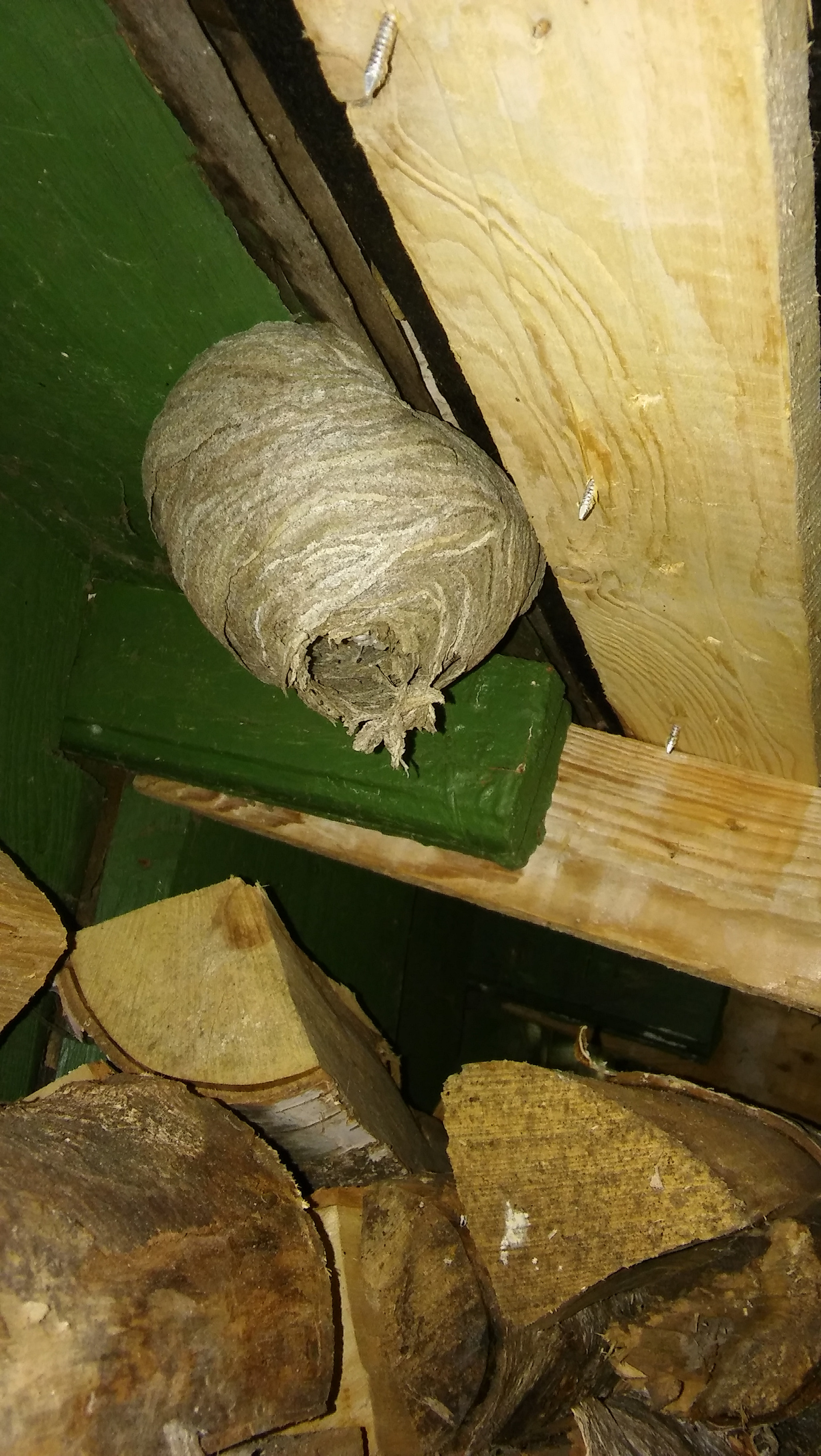LG SPIRIT 4G LTE sample photo. Wasp home photography