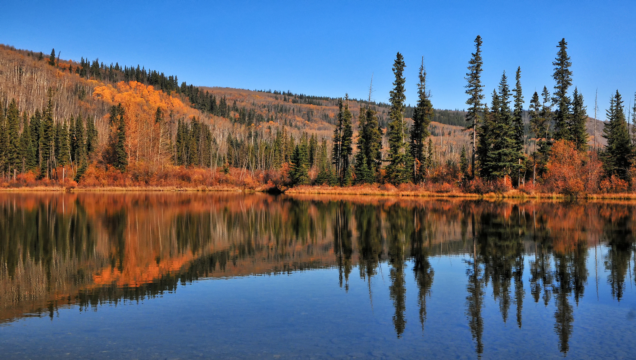 Sigma 17-70mm F2.8-4 DC Macro OS HSM | C sample photo. Autumn reflections photography