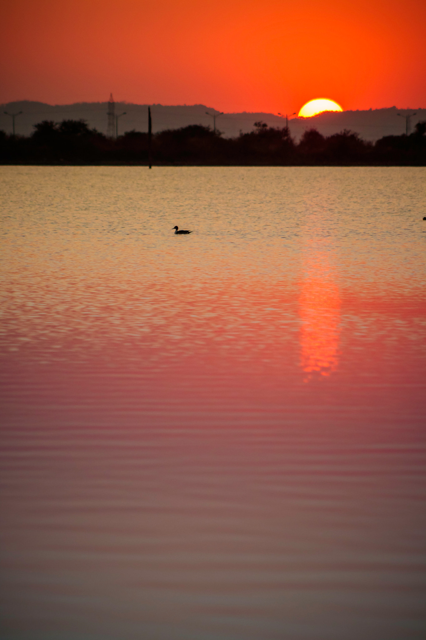 Canon EOS 750D (EOS Rebel T6i / EOS Kiss X8i) + EF75-300mm f/4-5.6 sample photo. Sunset on lake telhara photography
