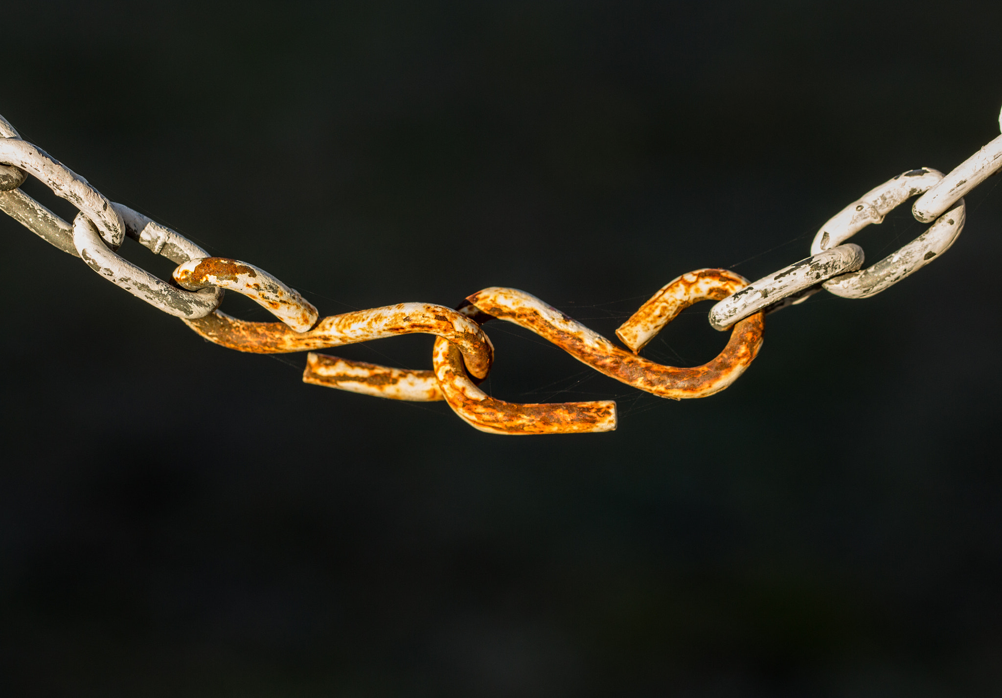 Canon EF 100mm F2.8L Macro IS USM sample photo. Oxidized chain photography