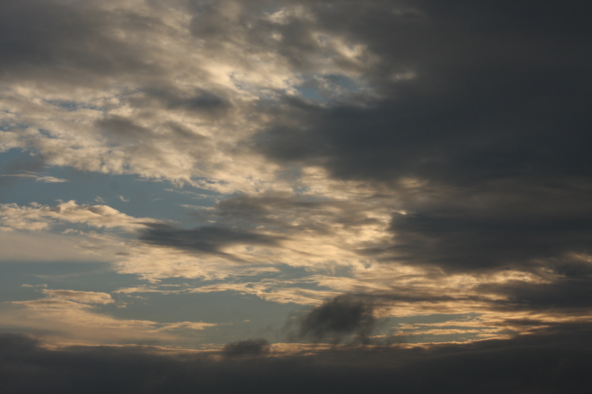 Canon EF 35-80mm f/4-5.6 sample photo. Mild and wrathful photography
