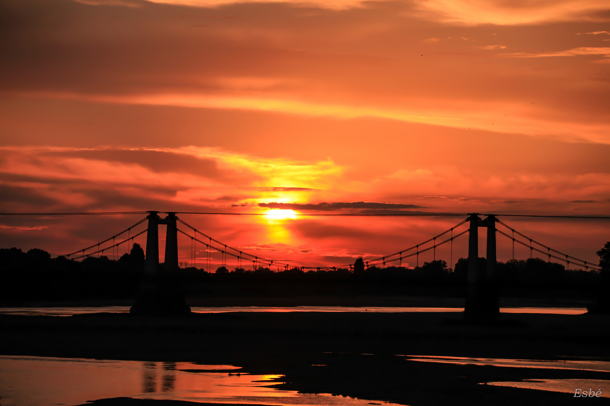 150-600mm F5-6.3 DG OS HSM | Contemporary 015 sample photo. A world in red & black photography