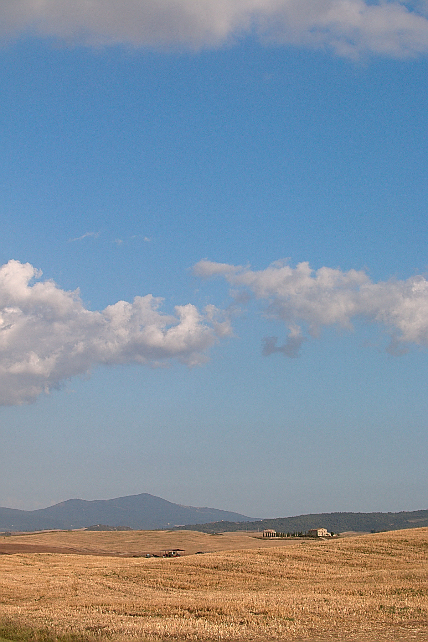 Canon EF 35-350mm F3.5-5.6L USM sample photo. Img photography