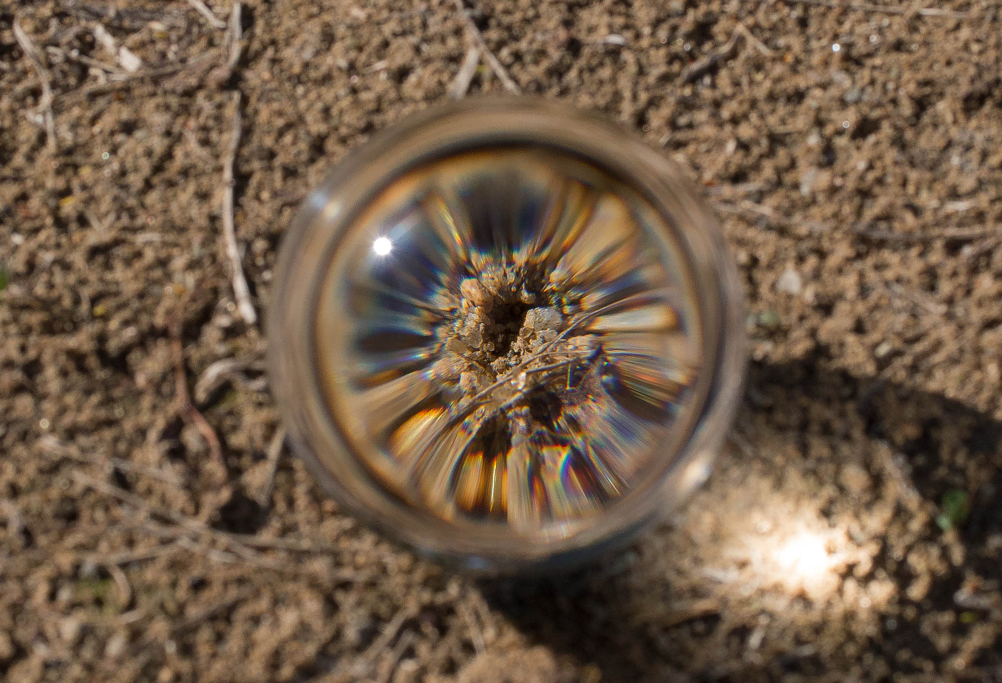 Pentax smc DA 40mm F2.8 XS Lens sample photo. Essence photography