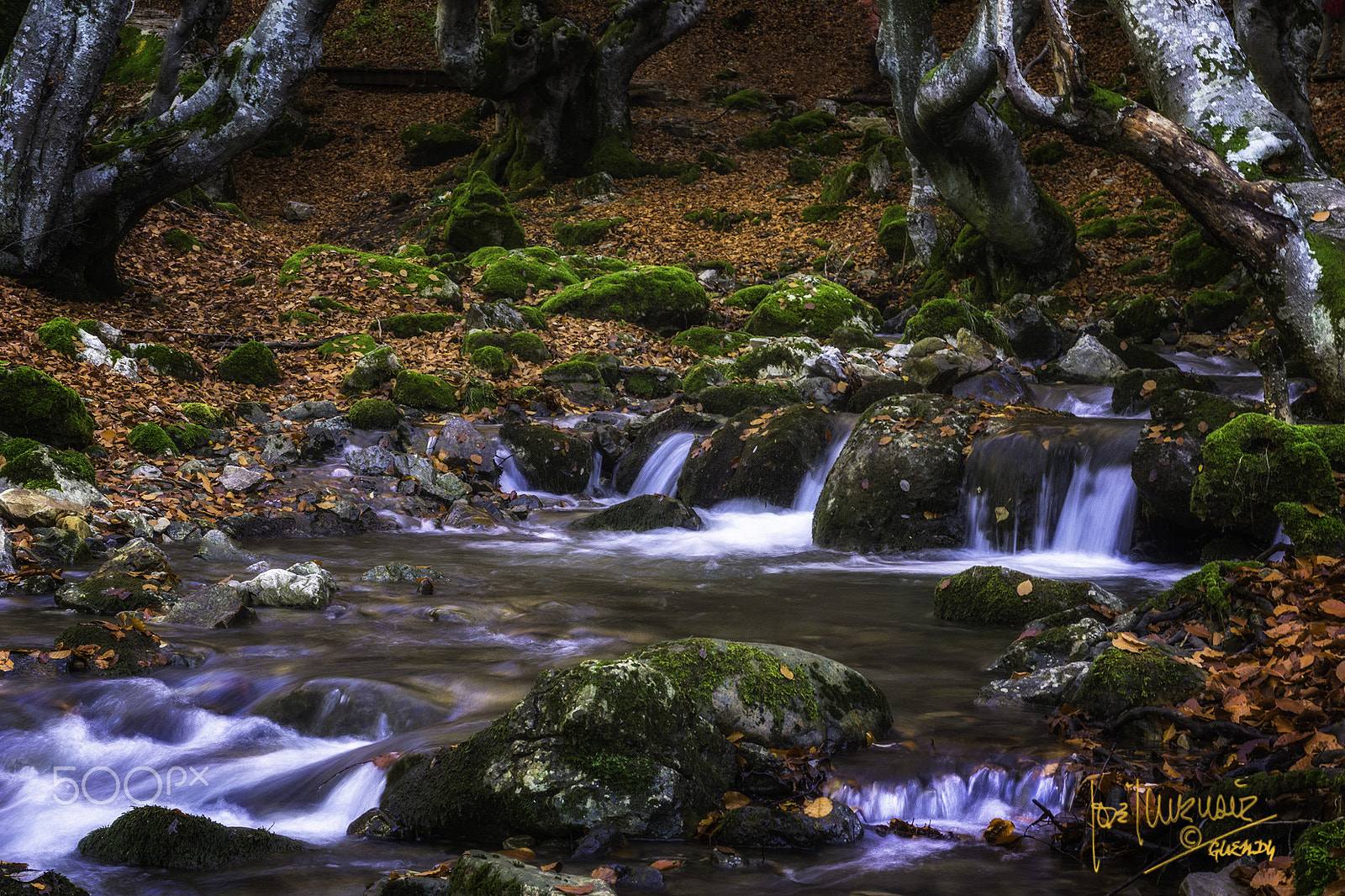 Sony SLT-A77 sample photo. Autumn symphony photography