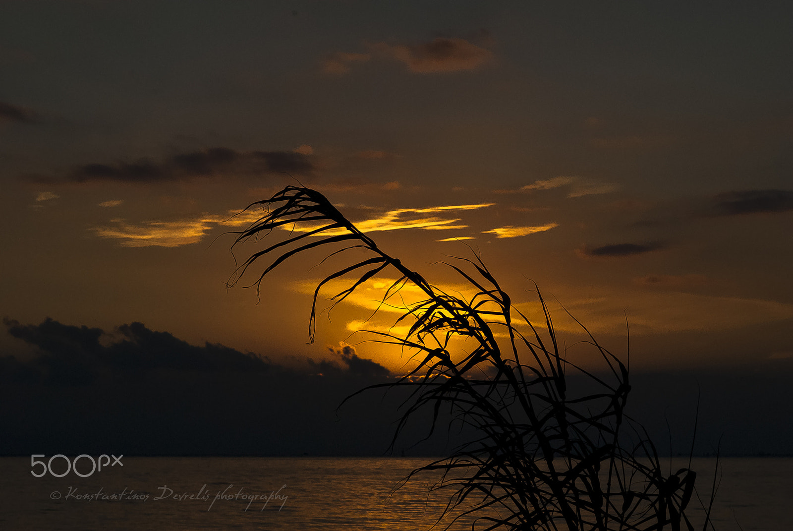 Nikon AF-S Nikkor 28-70mm F2.8 ED-IF sample photo. Magical lonelyness ... photography