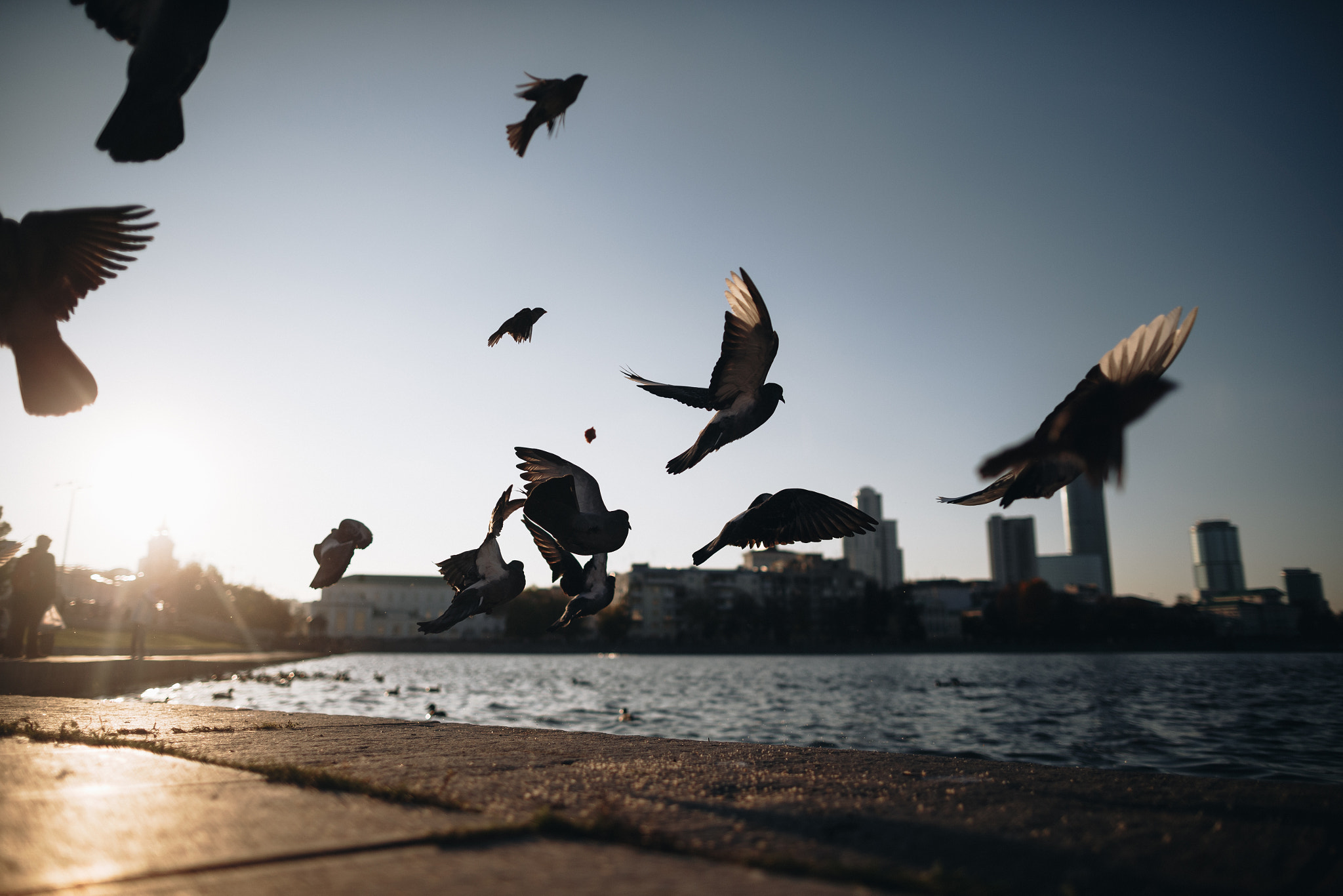 Canon EF 24mm F1.4L II USM sample photo