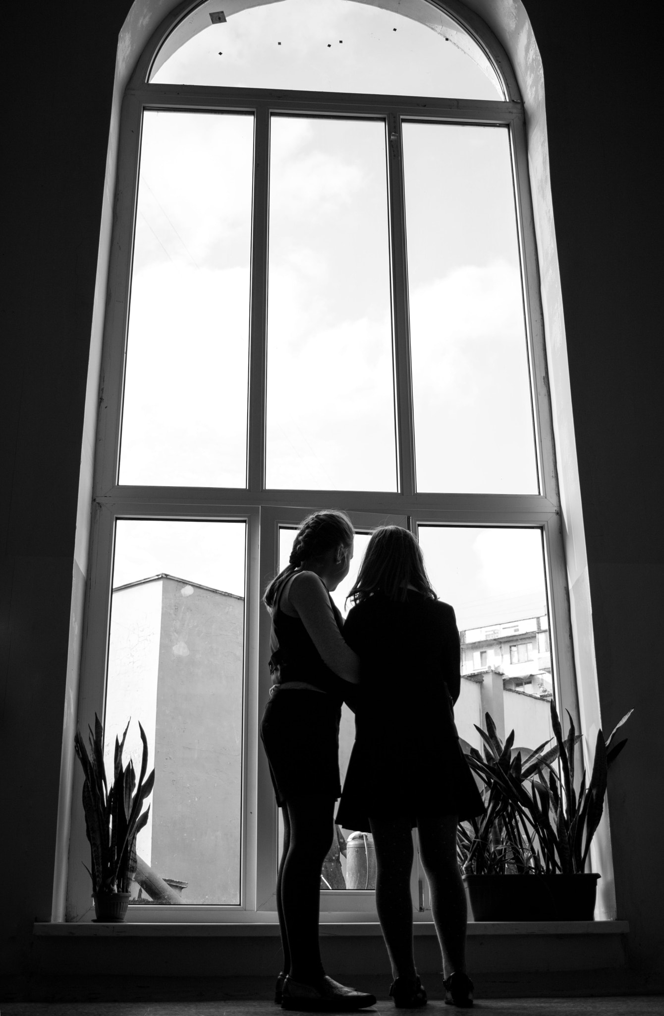 Canon EF-S 24mm F2.8 STM sample photo. .window photography