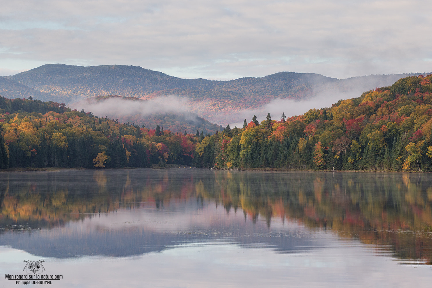Canon EF 70-200mm F2.8L USM sample photo. Morning autumn !! photography