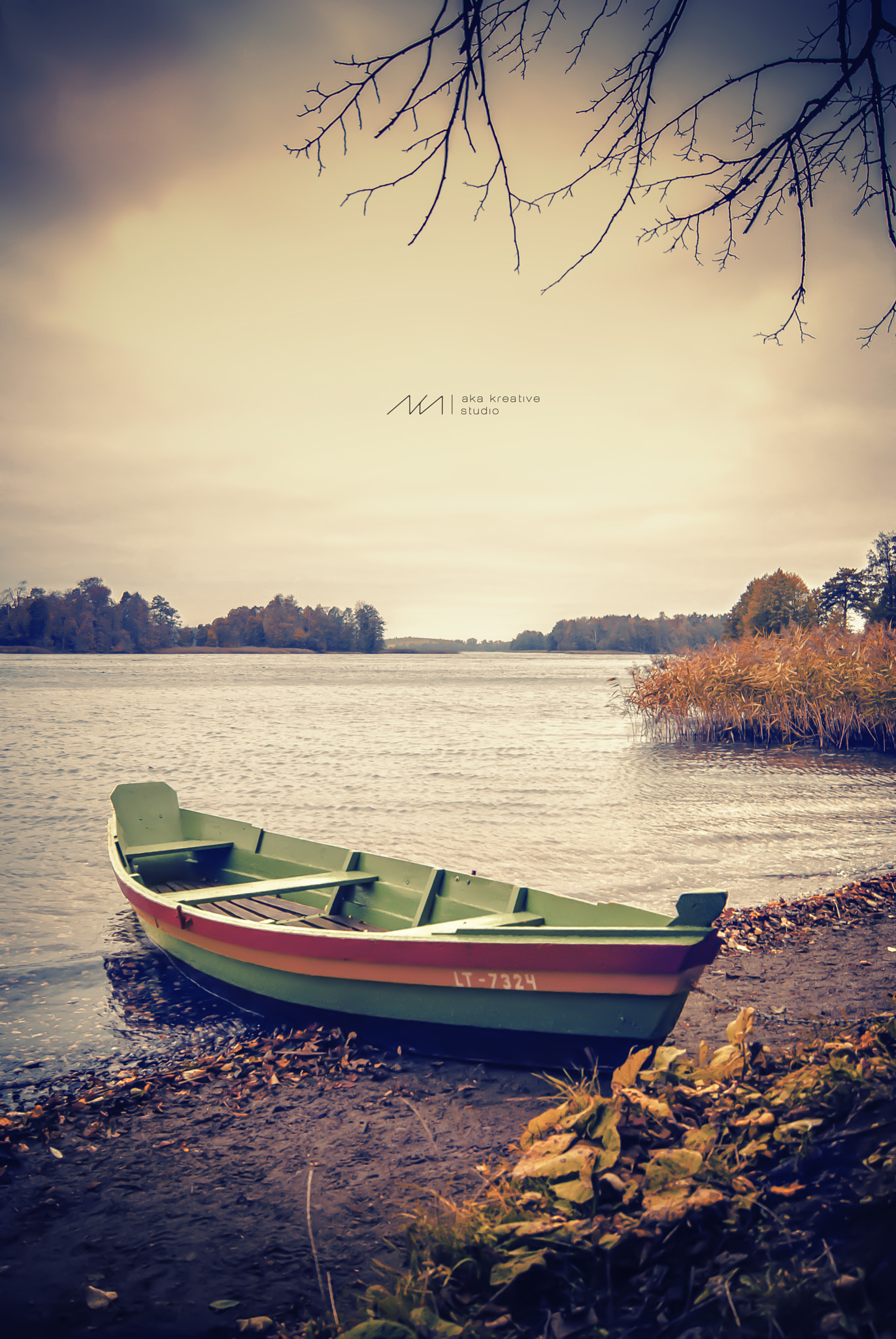 Sony Alpha DSLR-A230 sample photo. The storm is coming photography