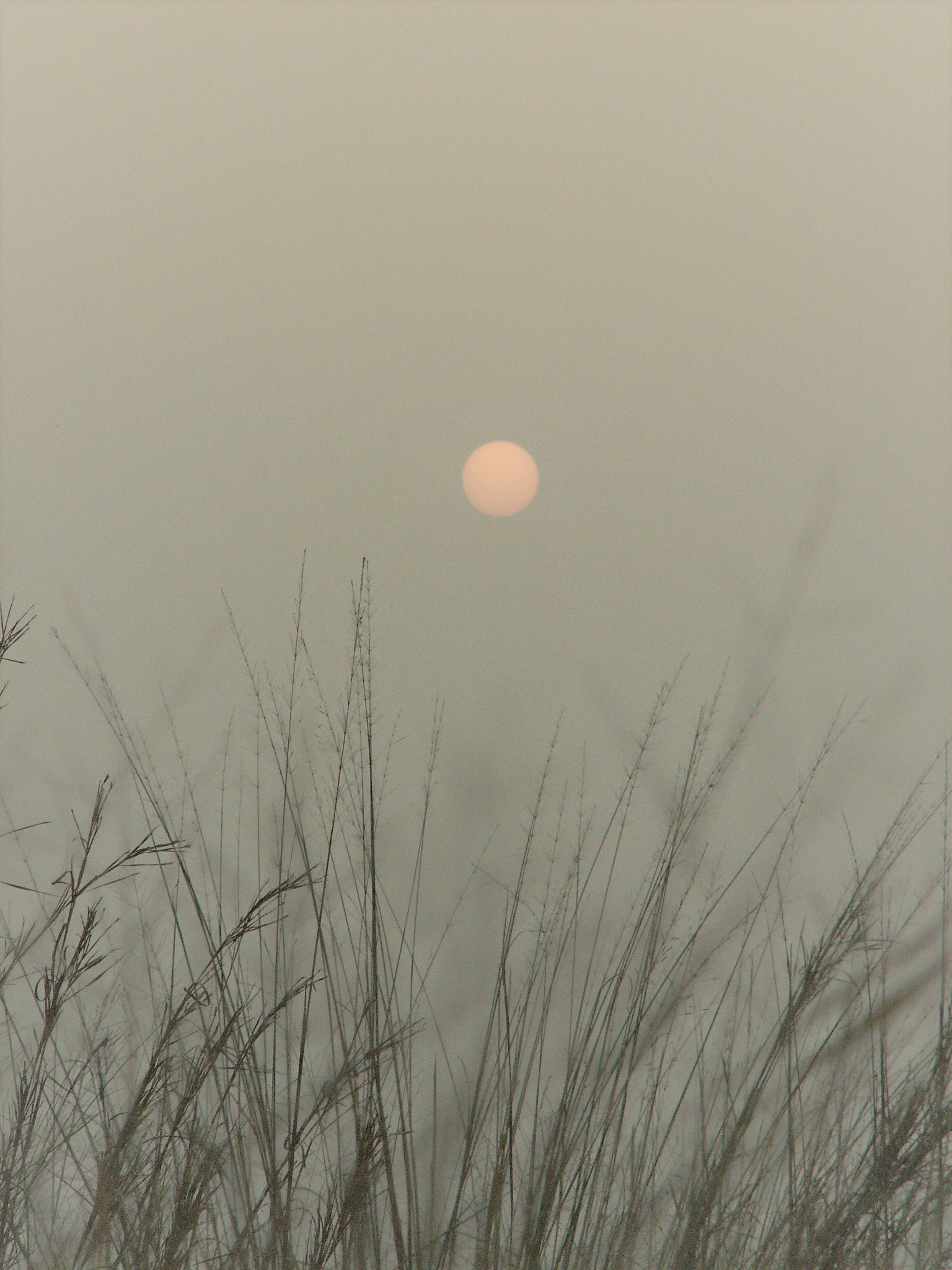 KONICA MINOLTA DiMAGE Z5 sample photo. Early morning cold sun photography