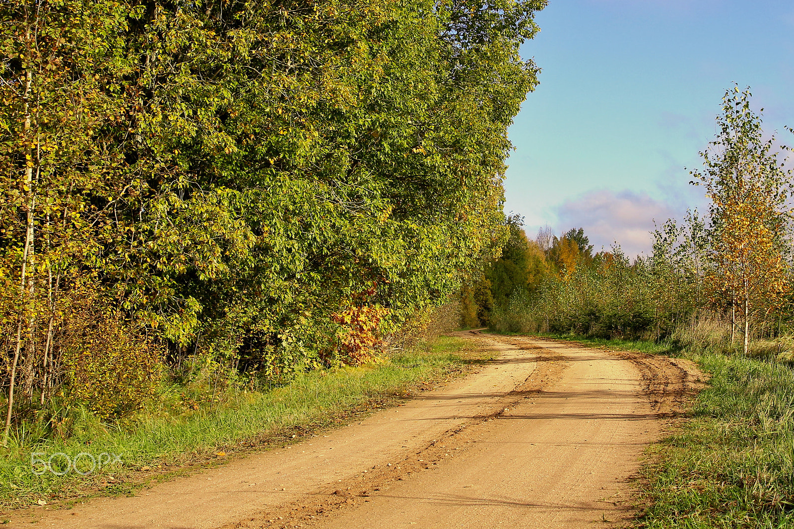 Canon EF 24-70mm F2.8L II USM sample photo. Autumn forest road photography