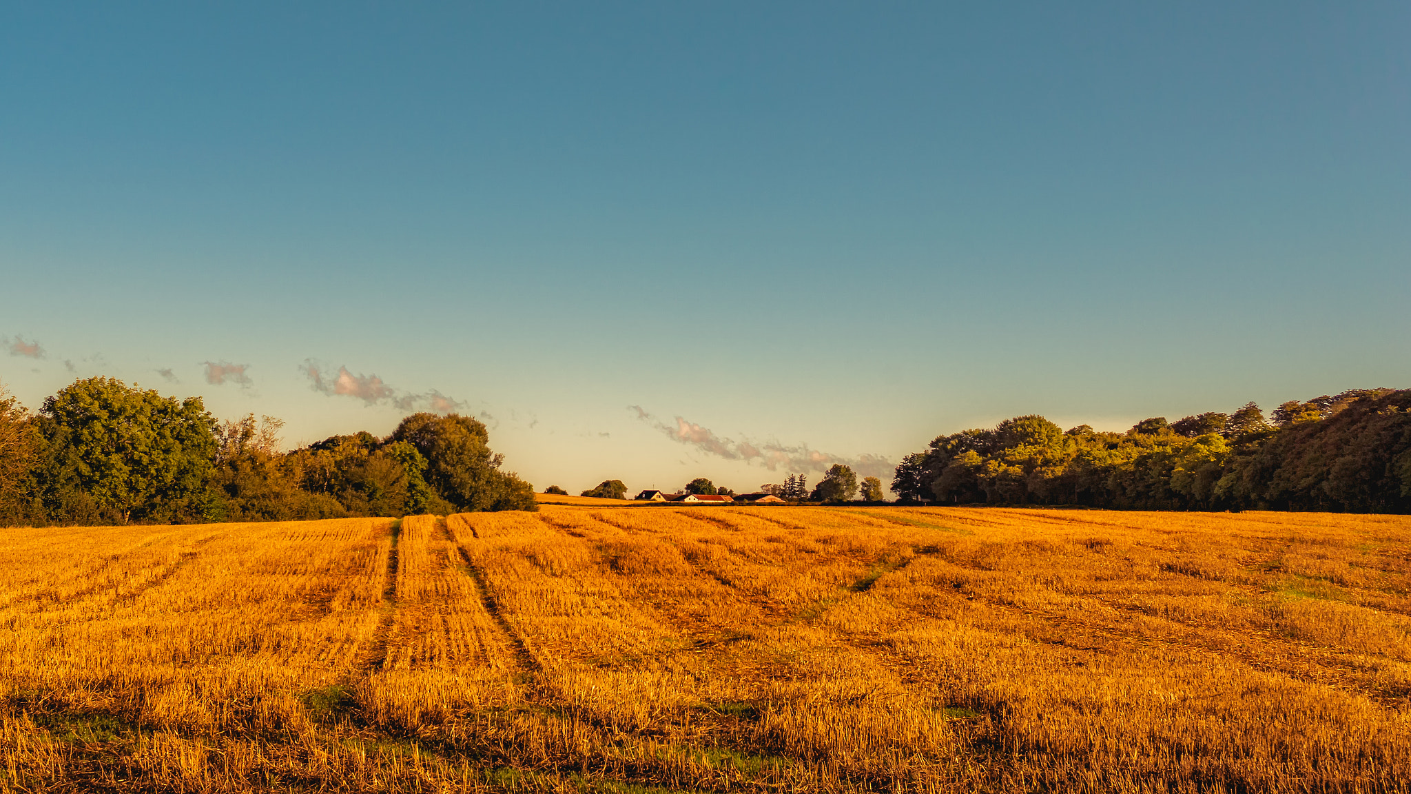 Sony a6000 sample photo. Fields of langeland photography