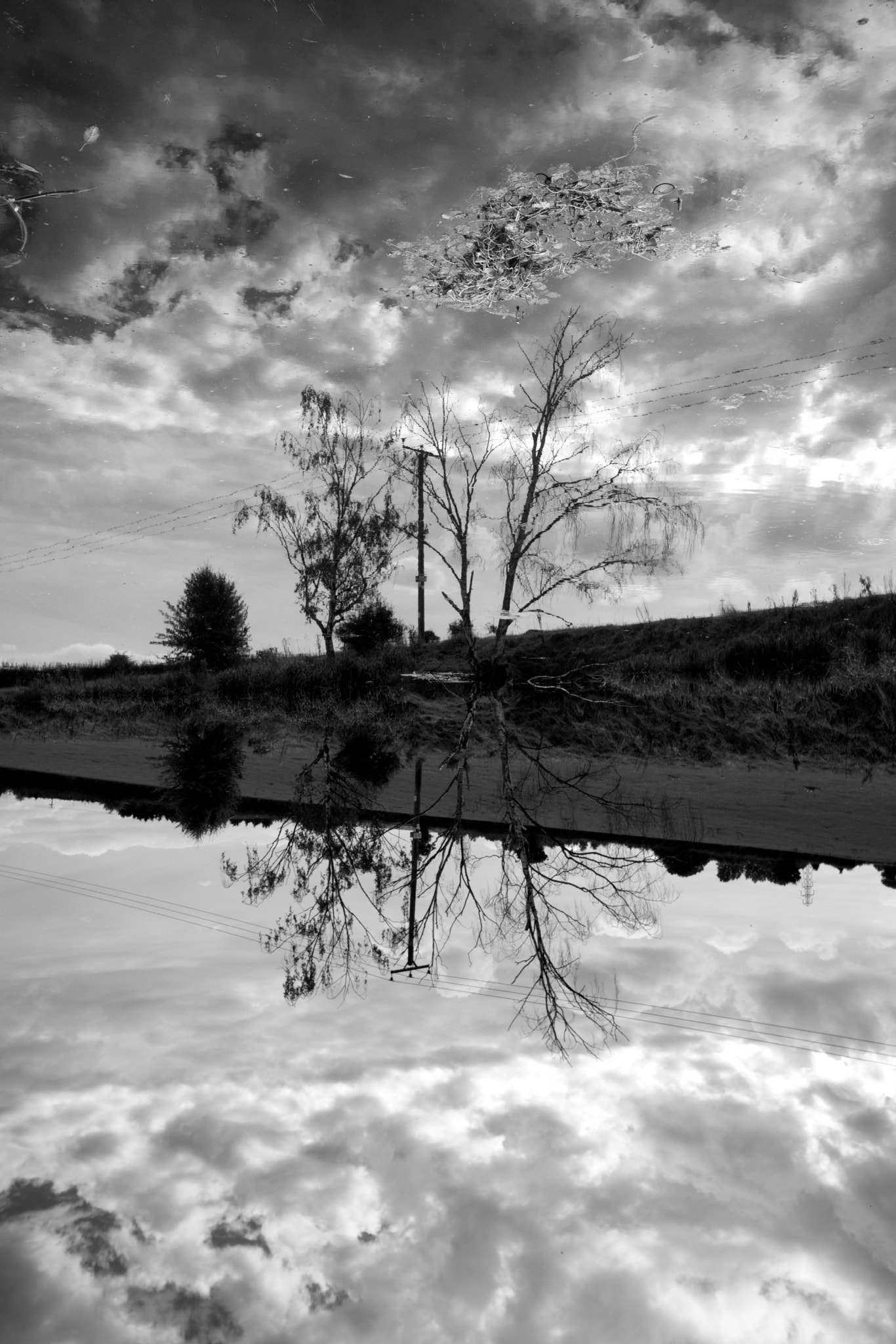 Sigma 10-20mm F4-5.6 EX DC HSM sample photo. Reflection photography