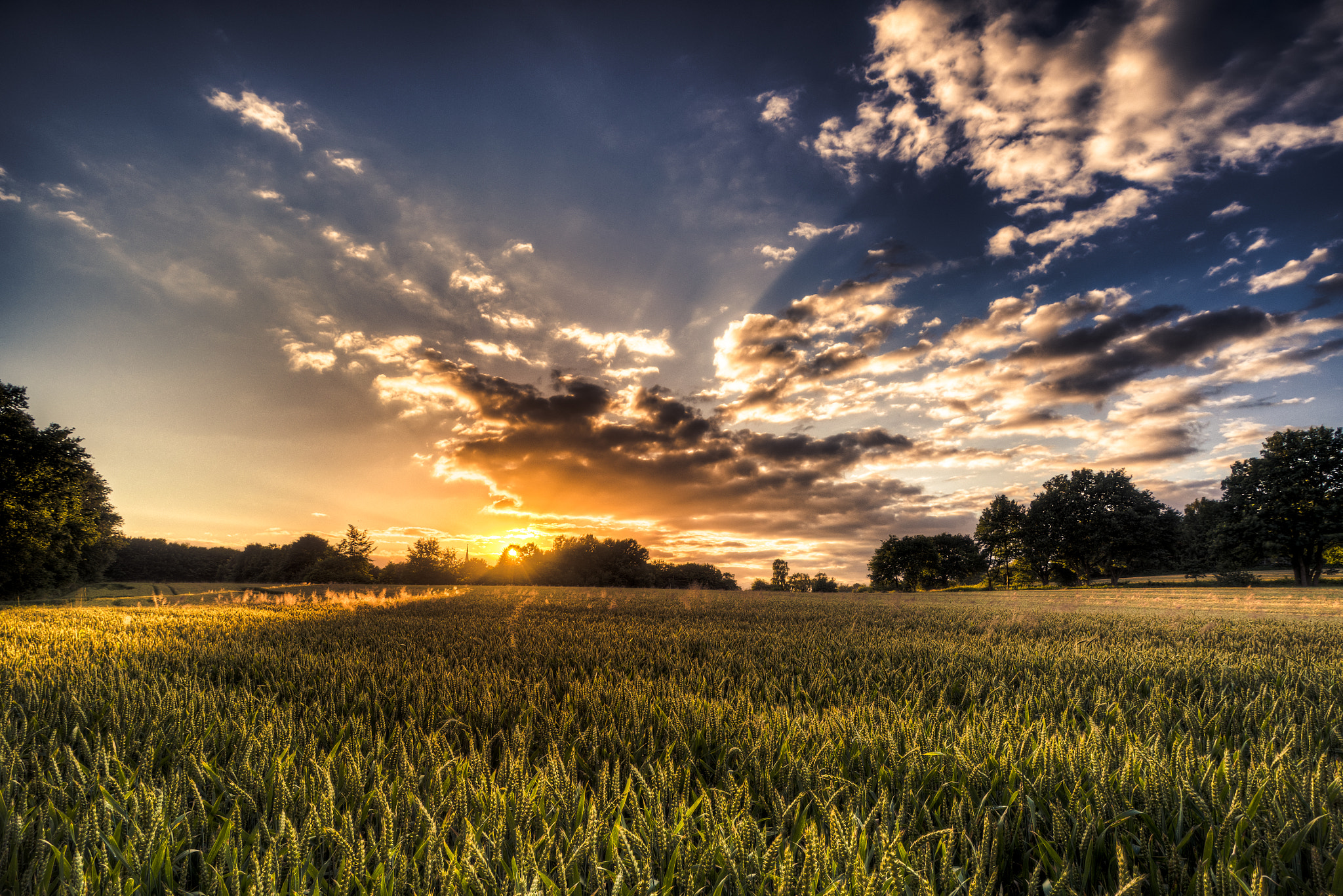 Olympus OM-D E-M10 + OLYMPUS M.9-18mm F4.0-5.6 sample photo. The golden light photography