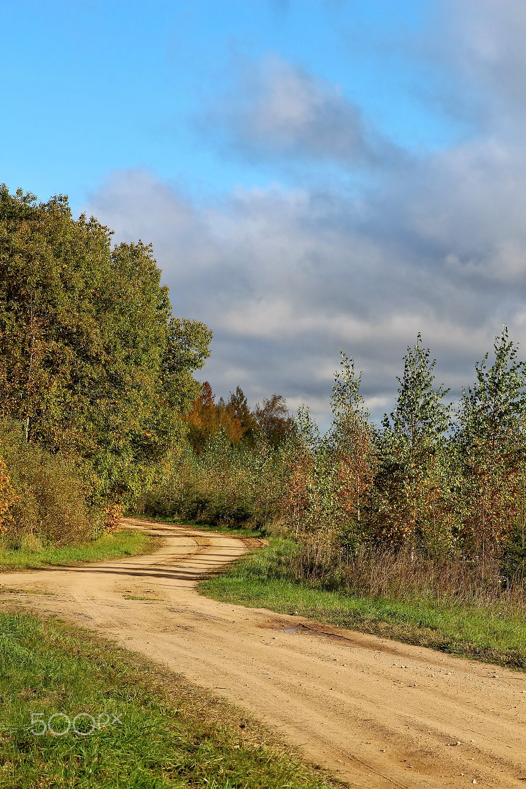 Canon EF 24-70mm F2.8L II USM sample photo. Road in the countryside photography