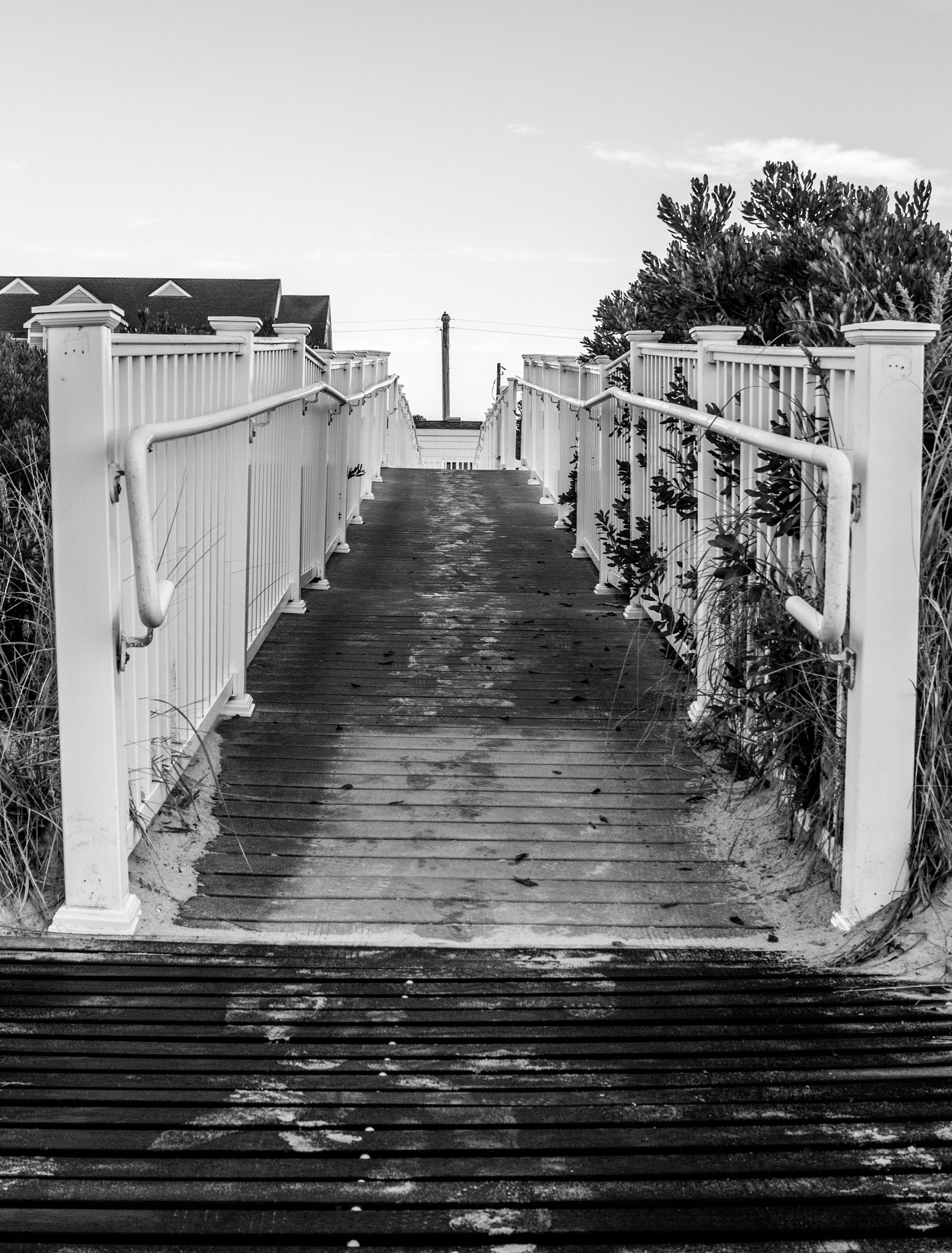 Canon EOS 550D (EOS Rebel T2i / EOS Kiss X4) + Canon EF-S 24mm F2.8 STM sample photo. Footprints on a boardwalk photography