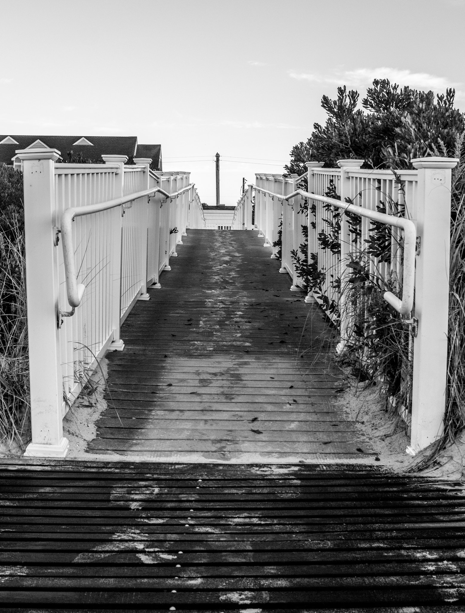 Canon EF-S 24mm F2.8 STM sample photo. Footprints on a boardwalk photography